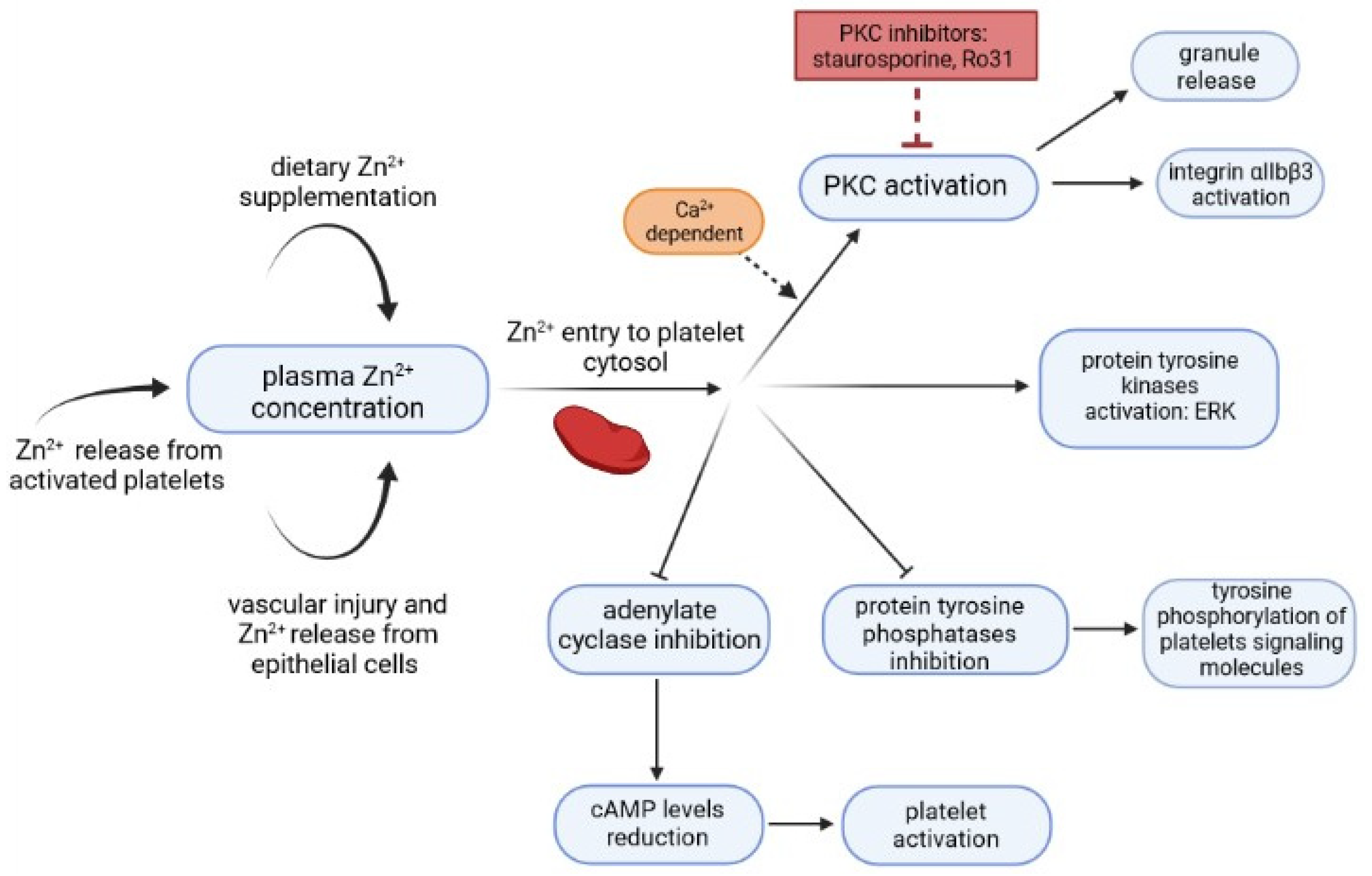 Biology 11 00752 g001