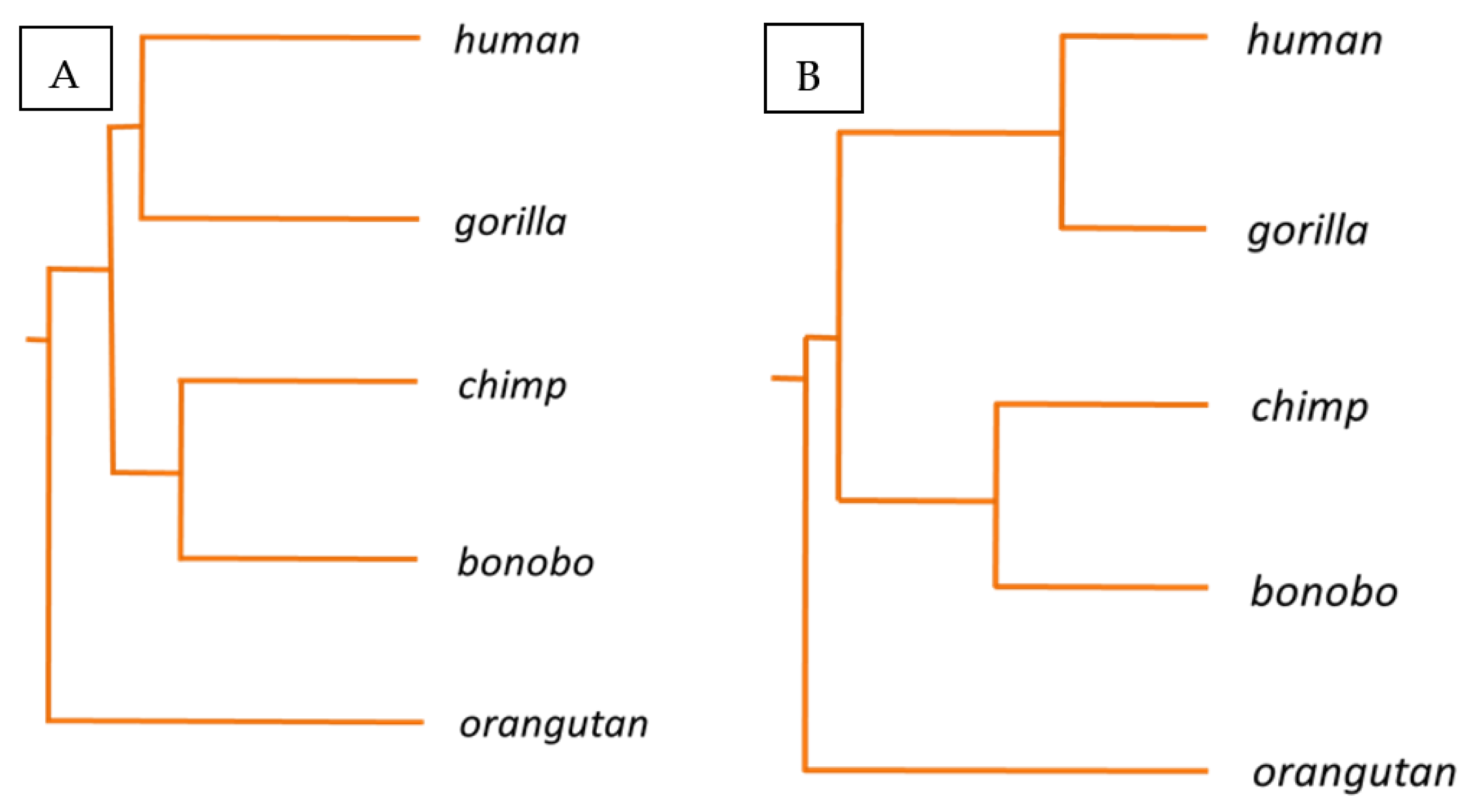 Biology 11 00754 g002 550