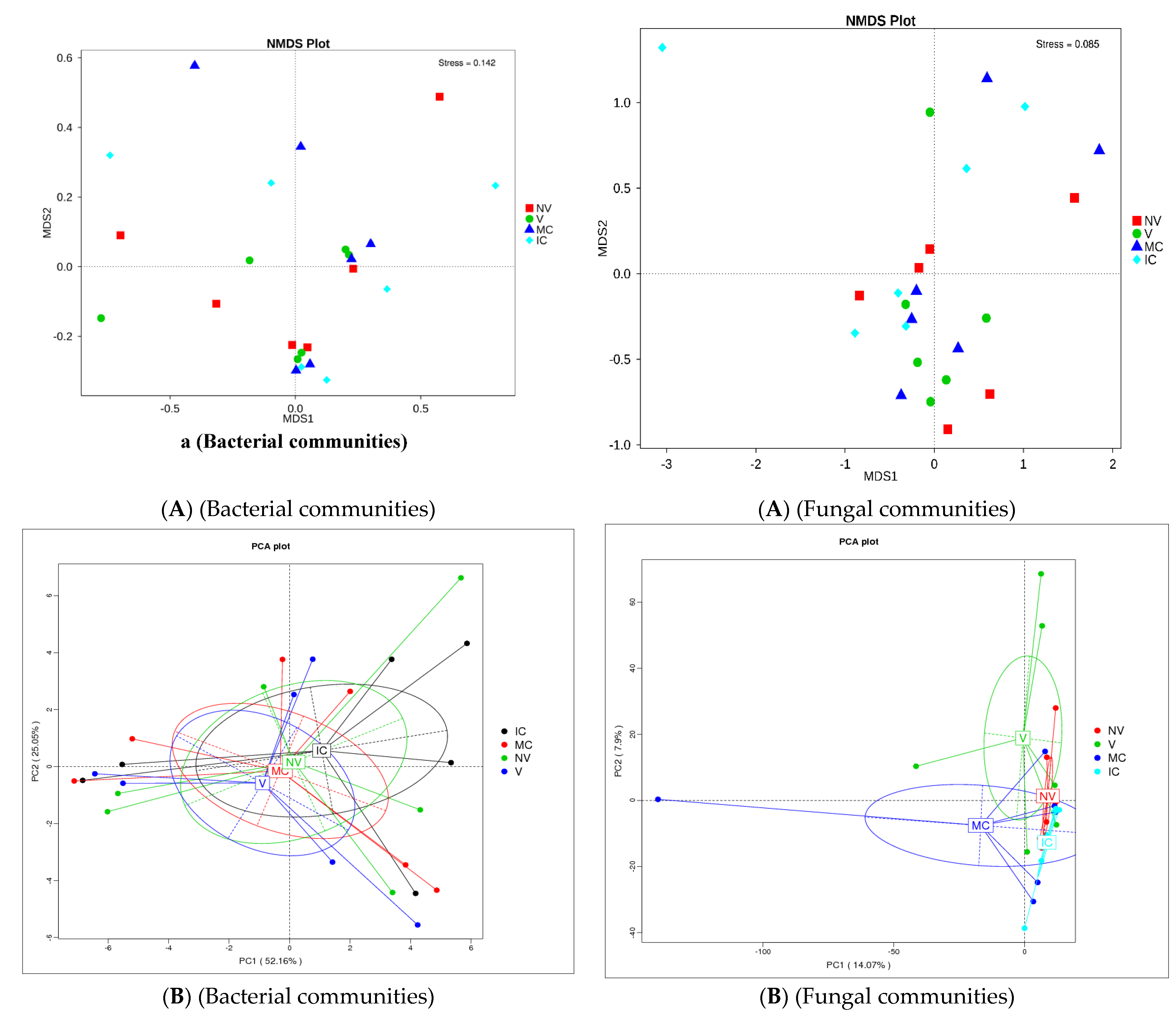 Biology 11 00756 g003