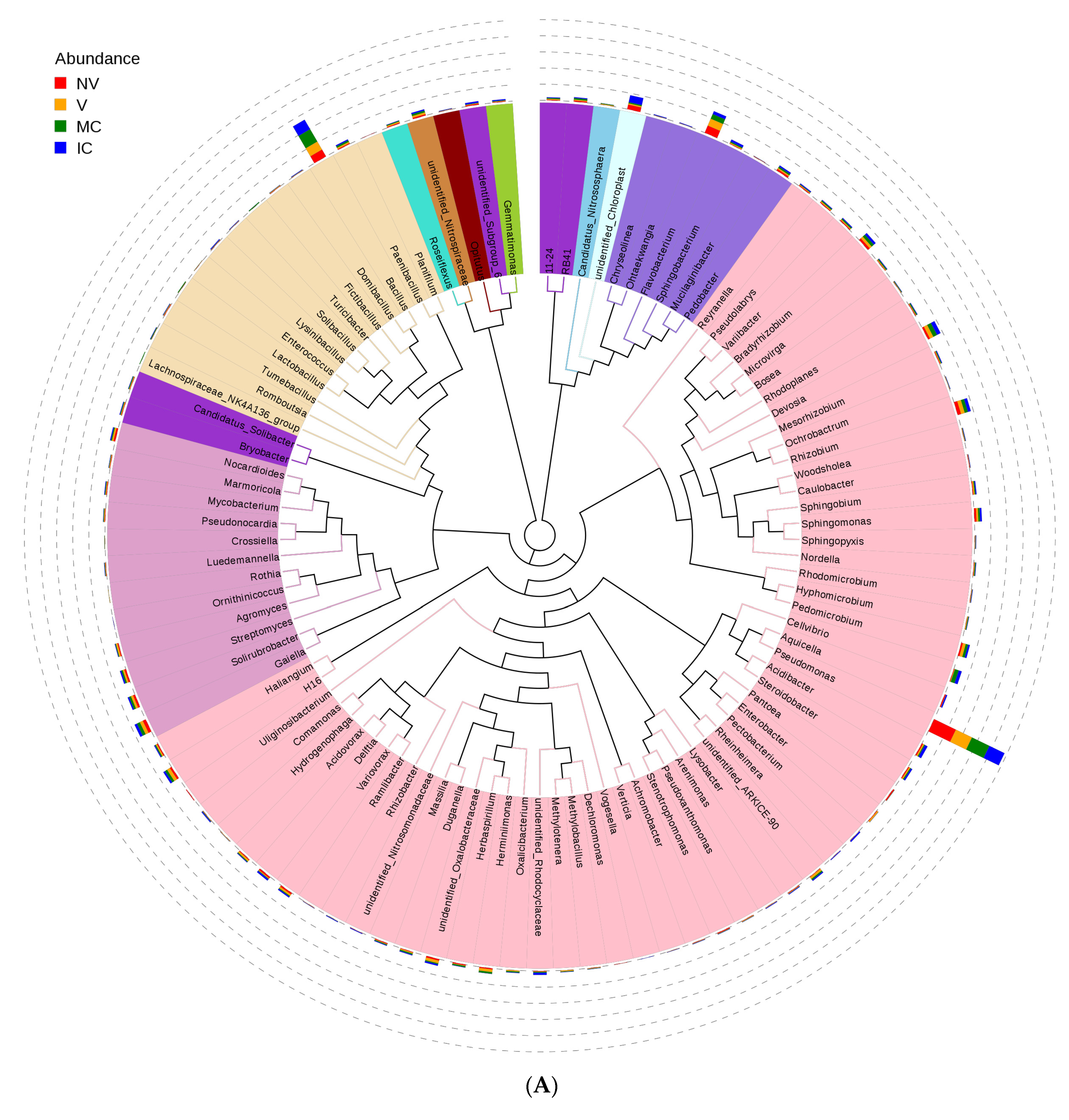 Biology 11 00756 g004a