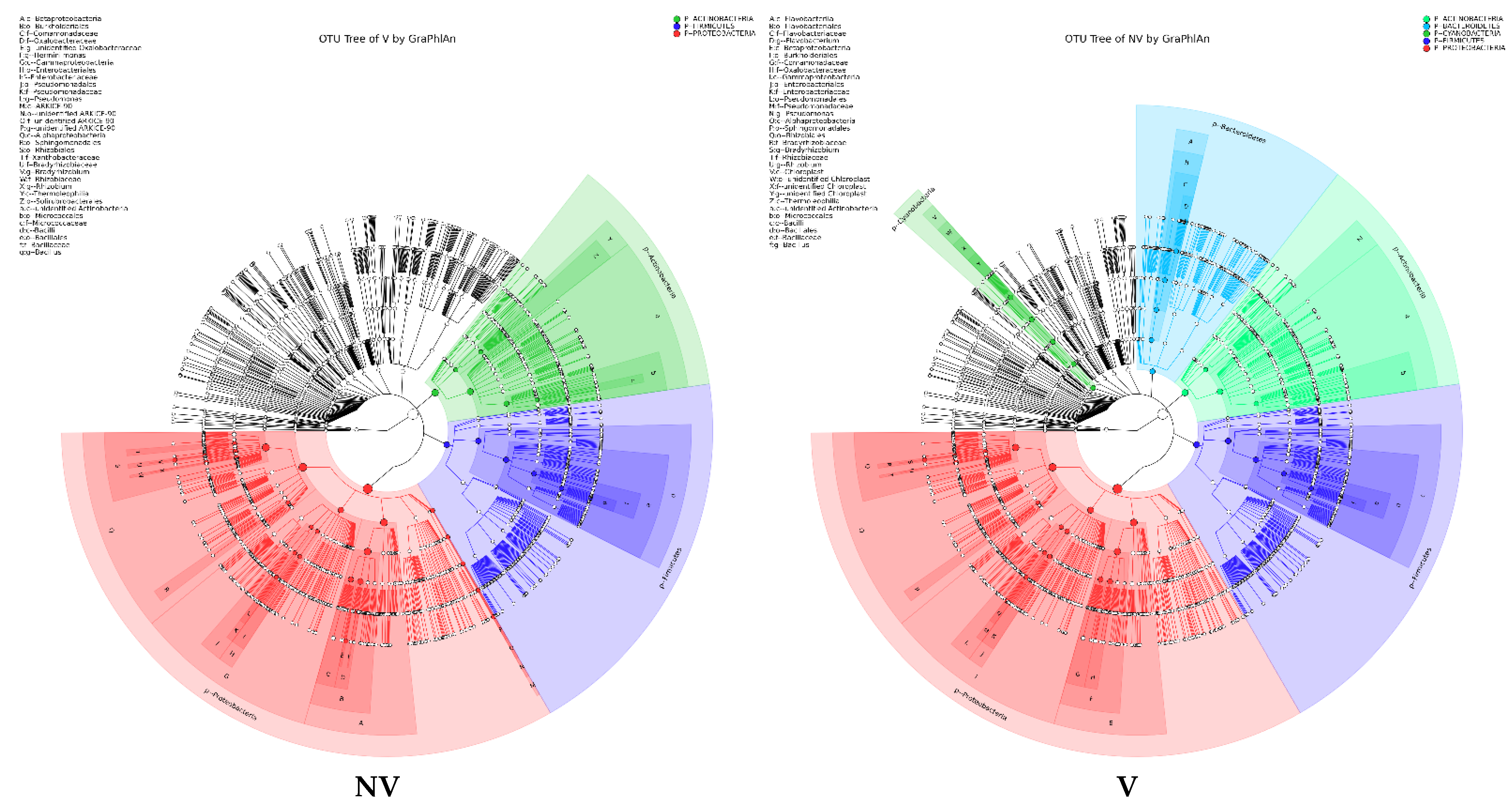 Biology 11 00756 g005a