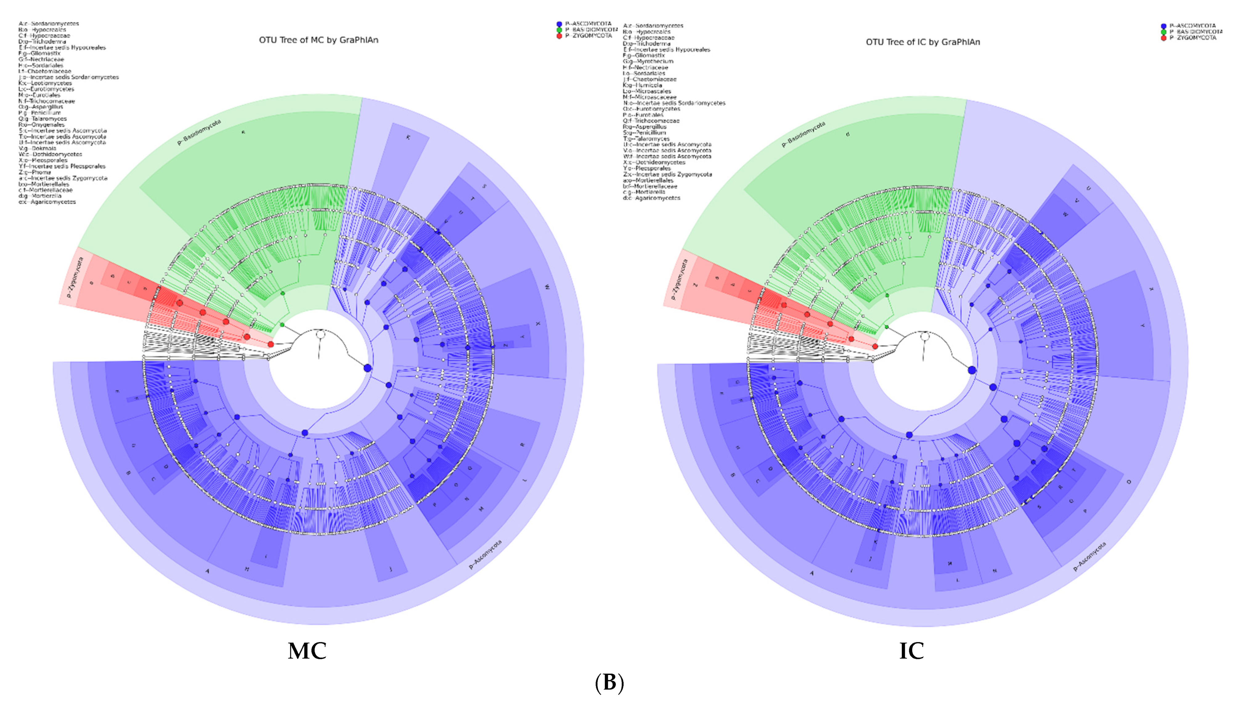 Biology 11 00756 g005c