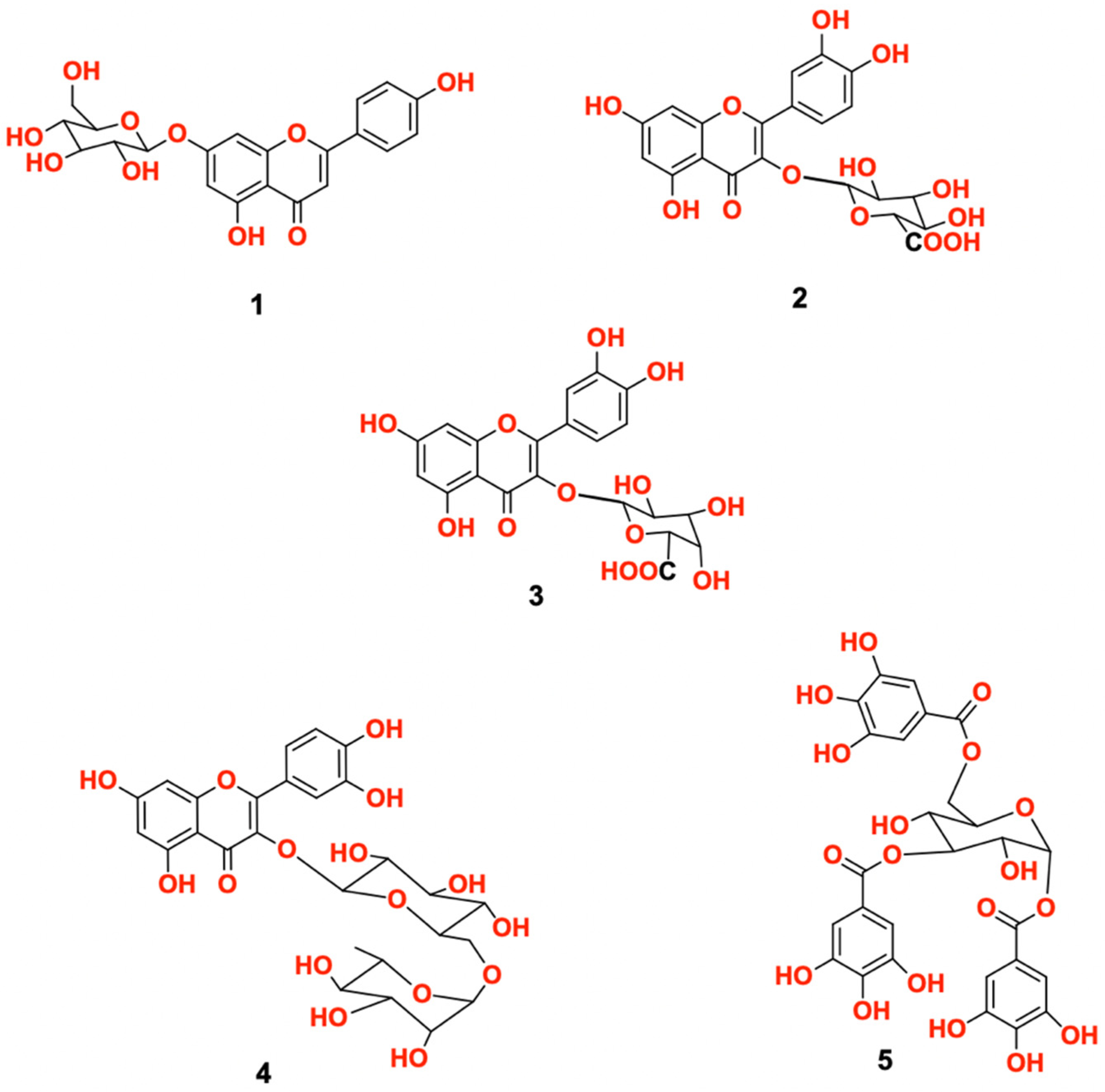 Biology 11 00762 g001 Biology 11 00762 g001