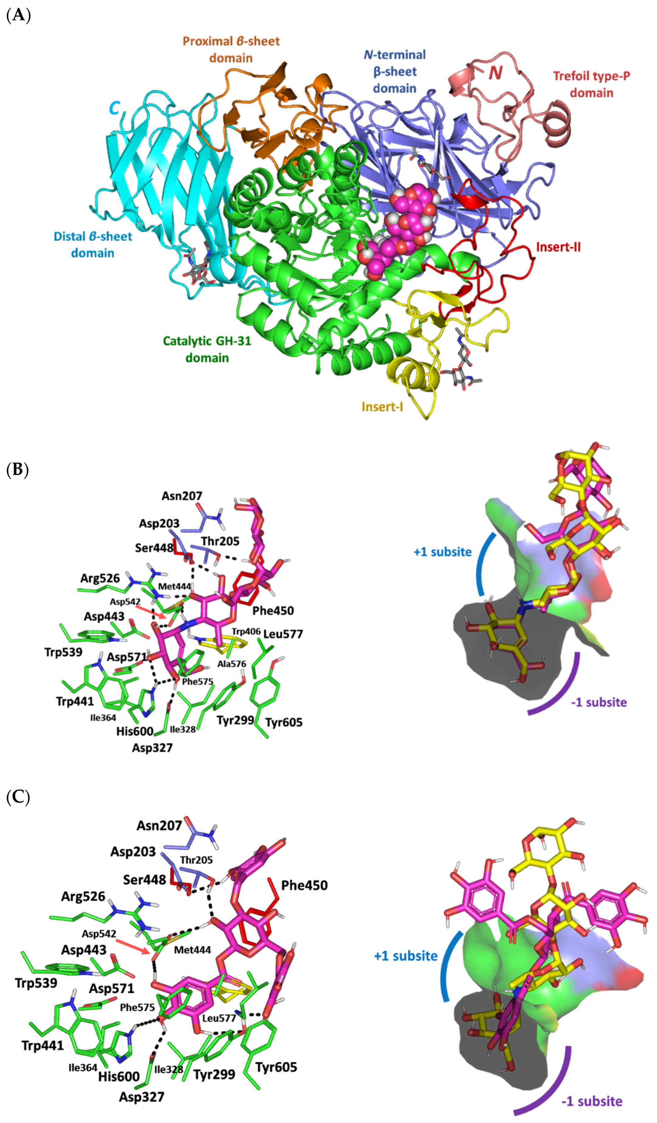 Biology 11 00762 g006 Biology 11 00762 g006