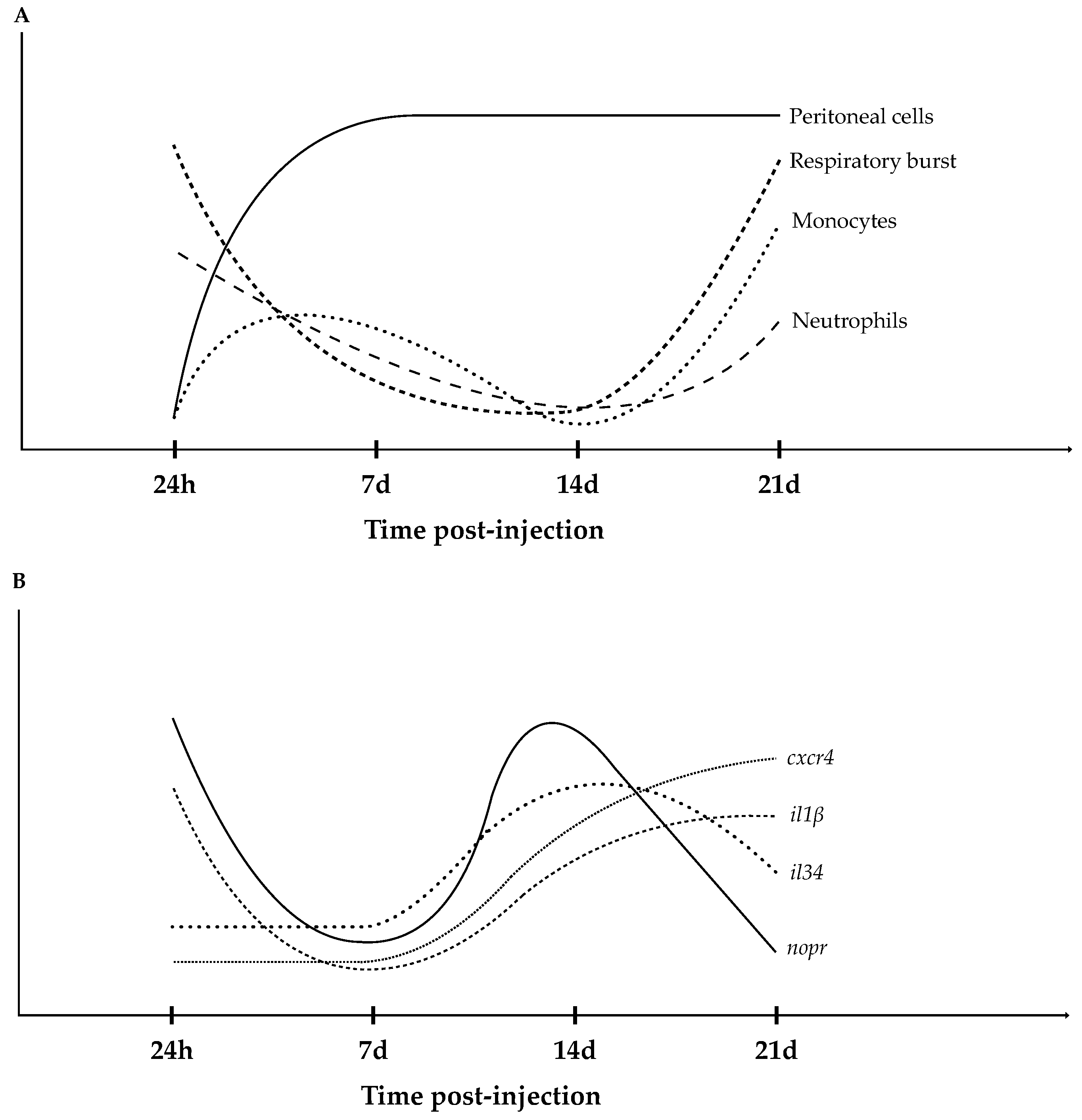 Biology 11 00764 g010