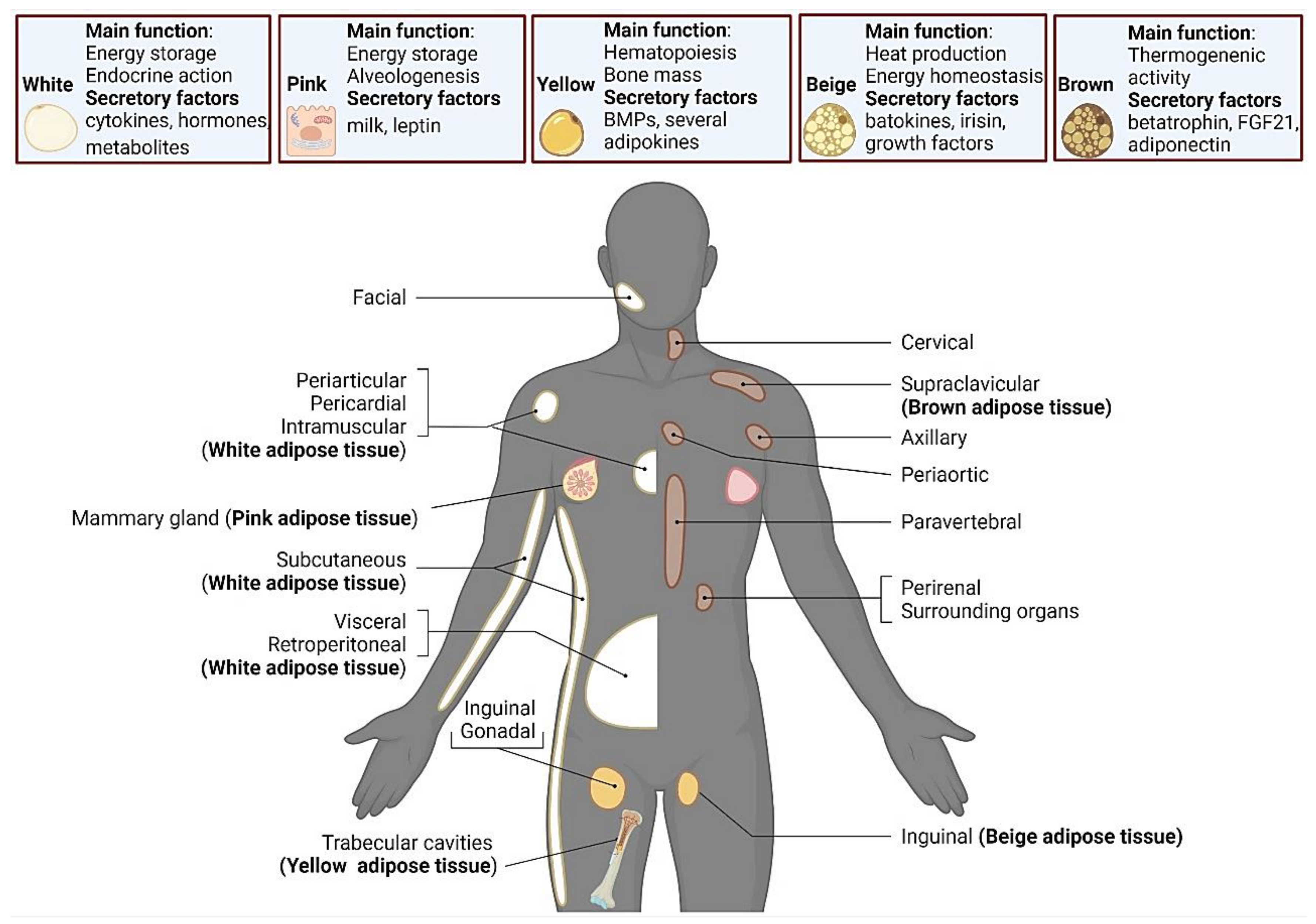 Biology 11 00765 g002