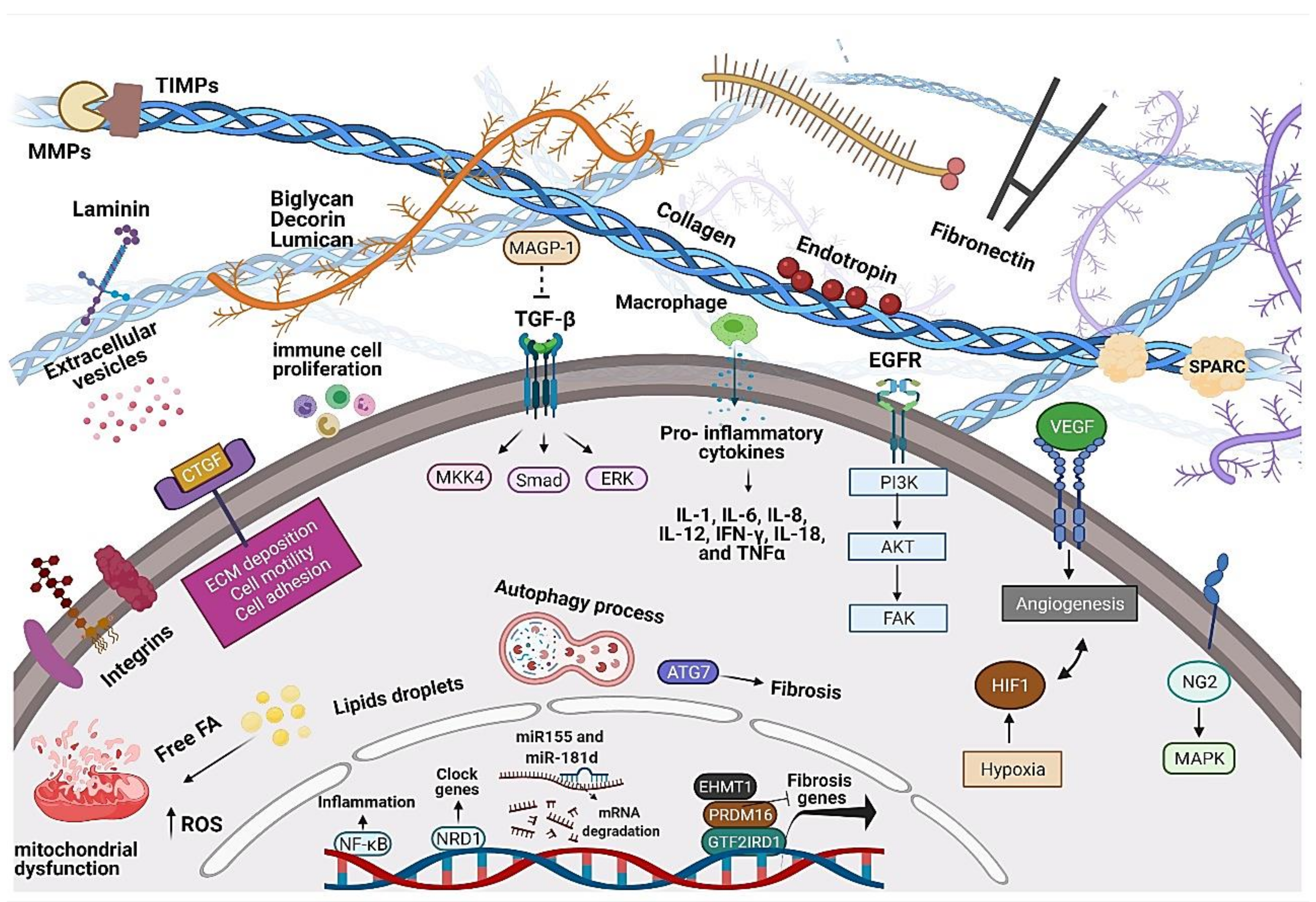 Biology 11 00765 g004