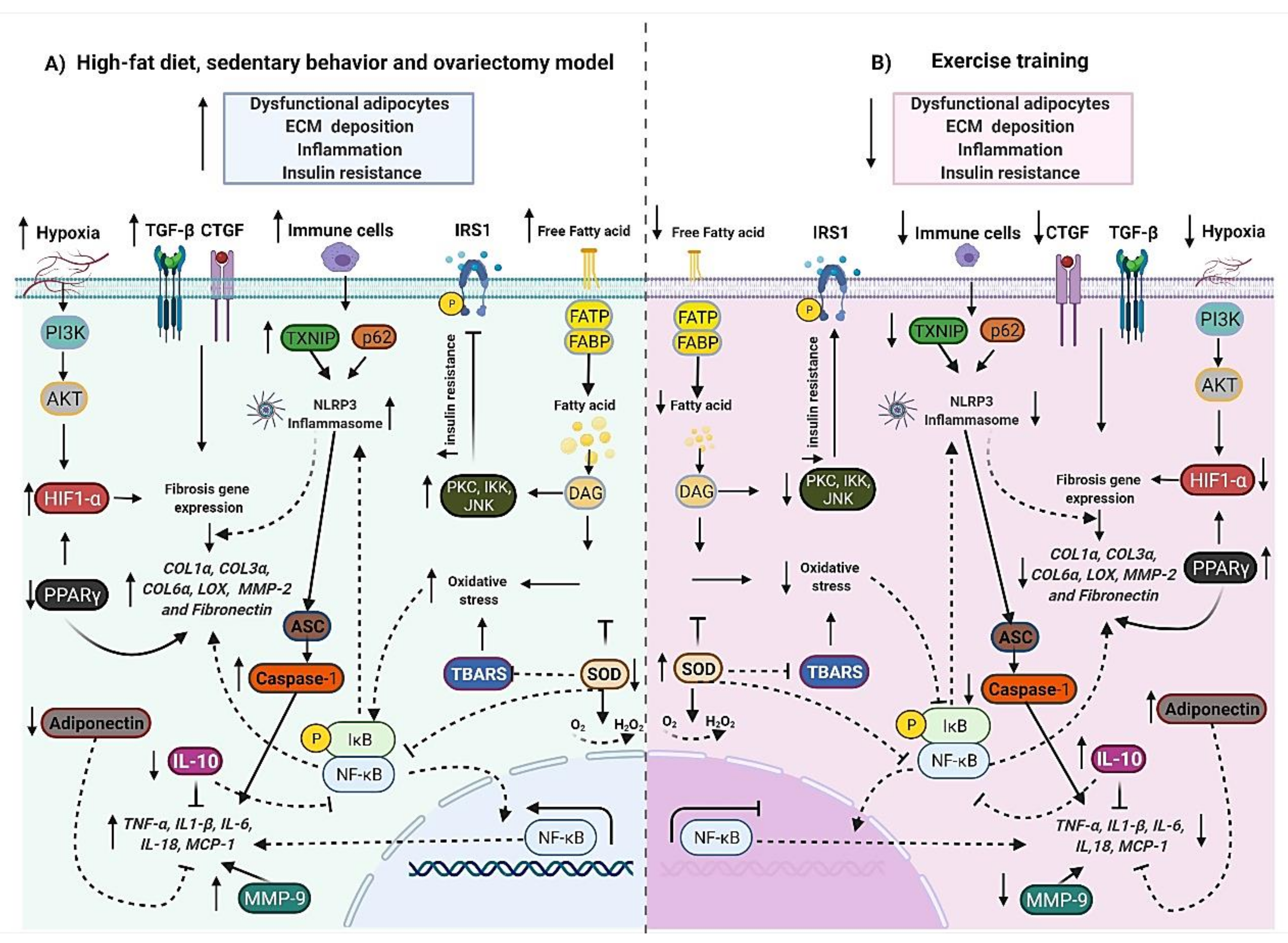 Biology 11 00765 g005