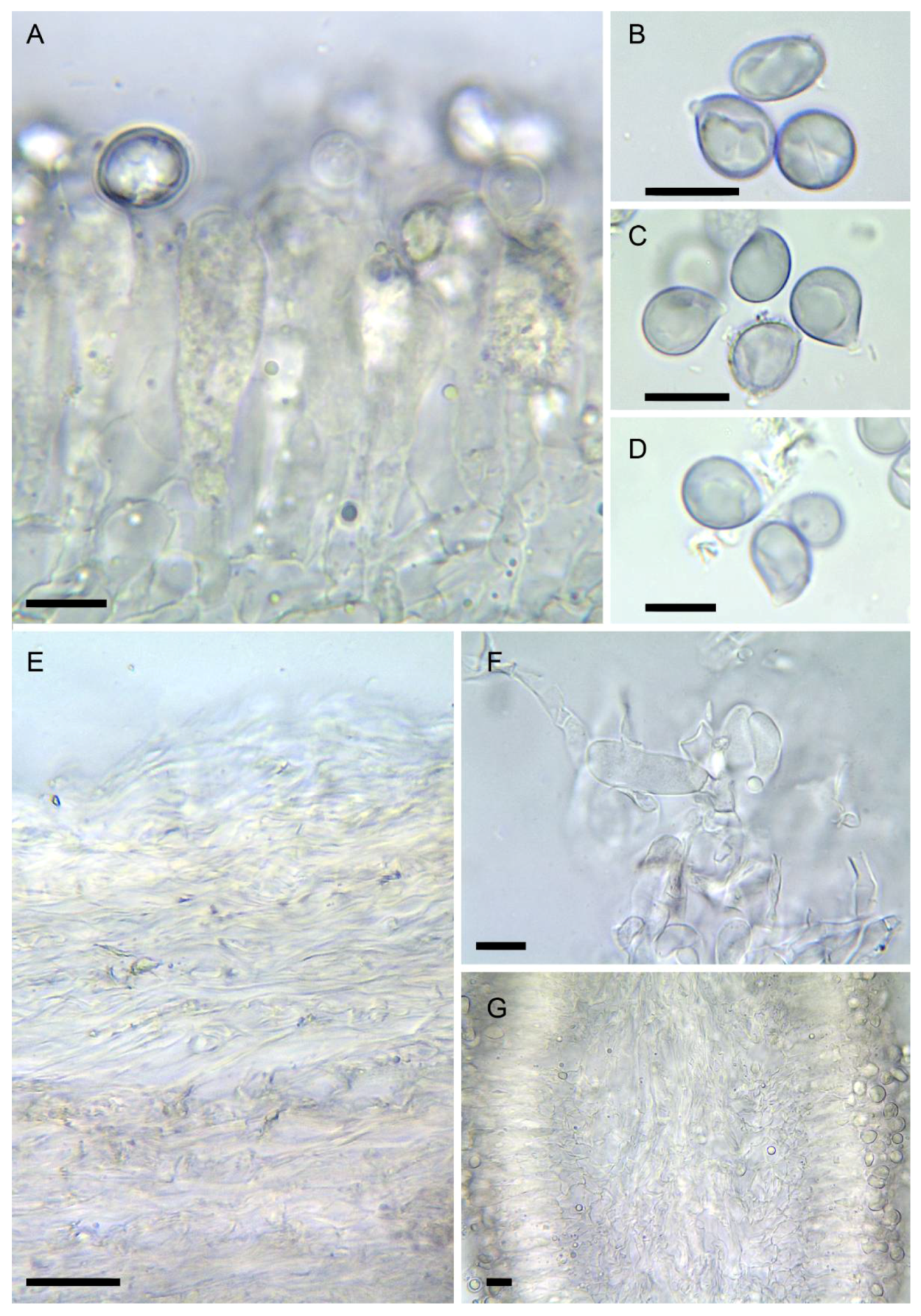 Biology 11 00770 g006