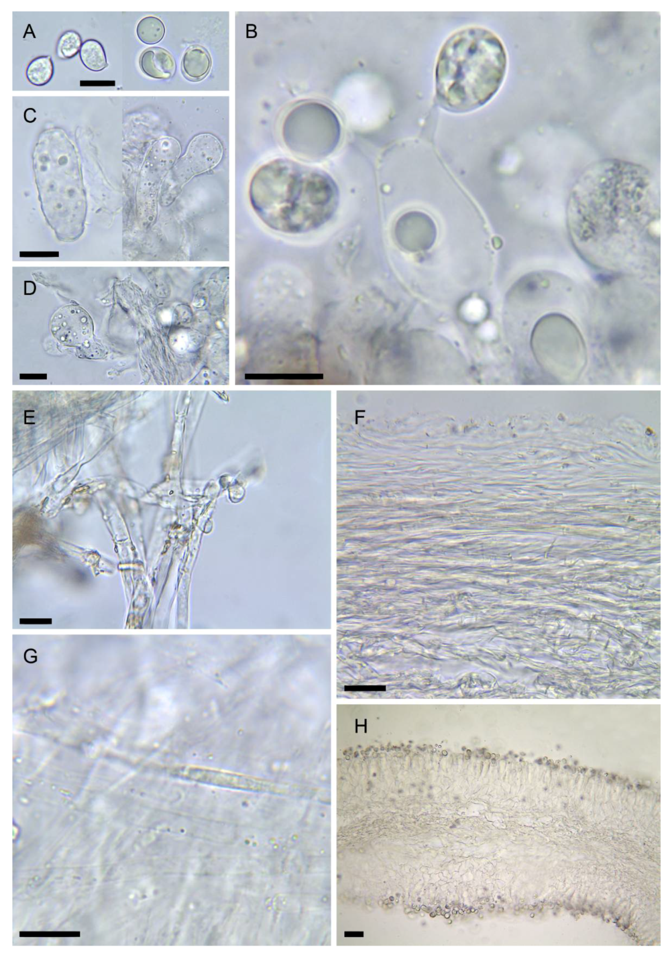 Biology 11 00770 g007