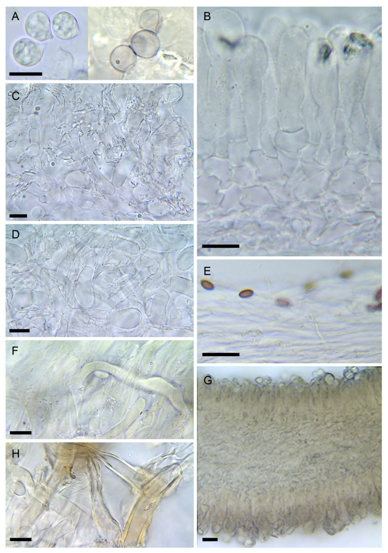 Biology 11 00770 g008