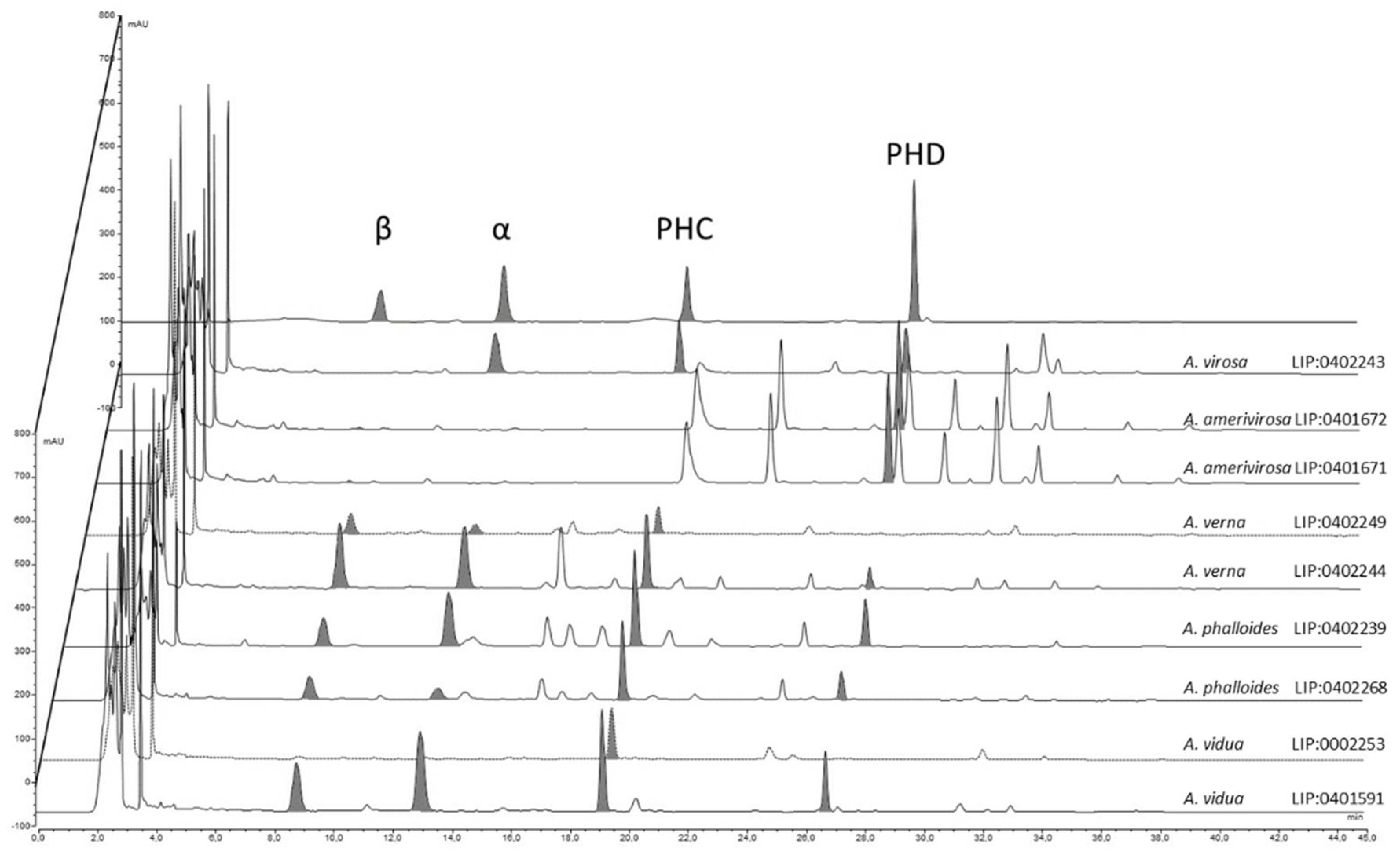 Biology 11 00770 g009