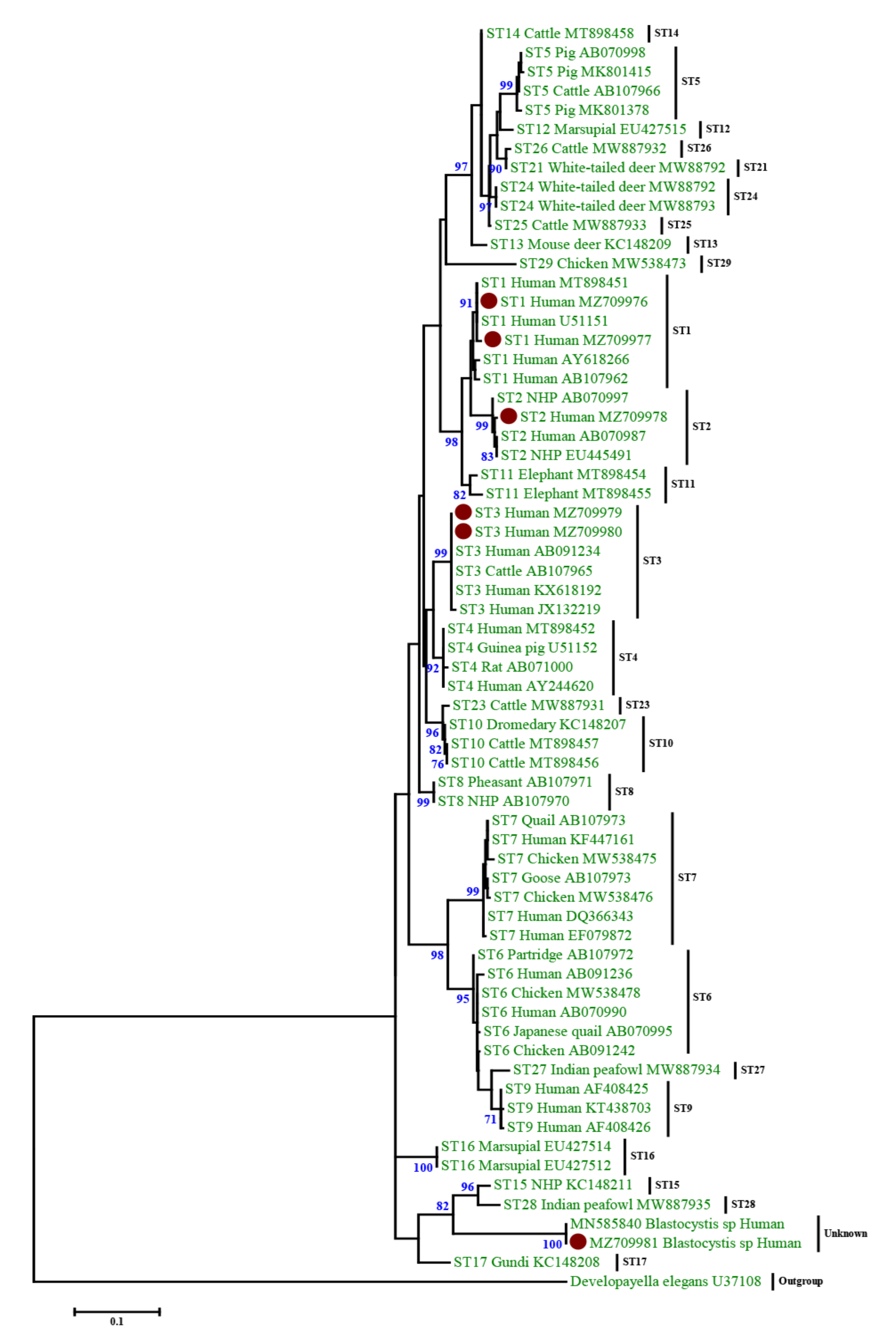 Biology 11 00773 g001 Biology 11 00773 g001