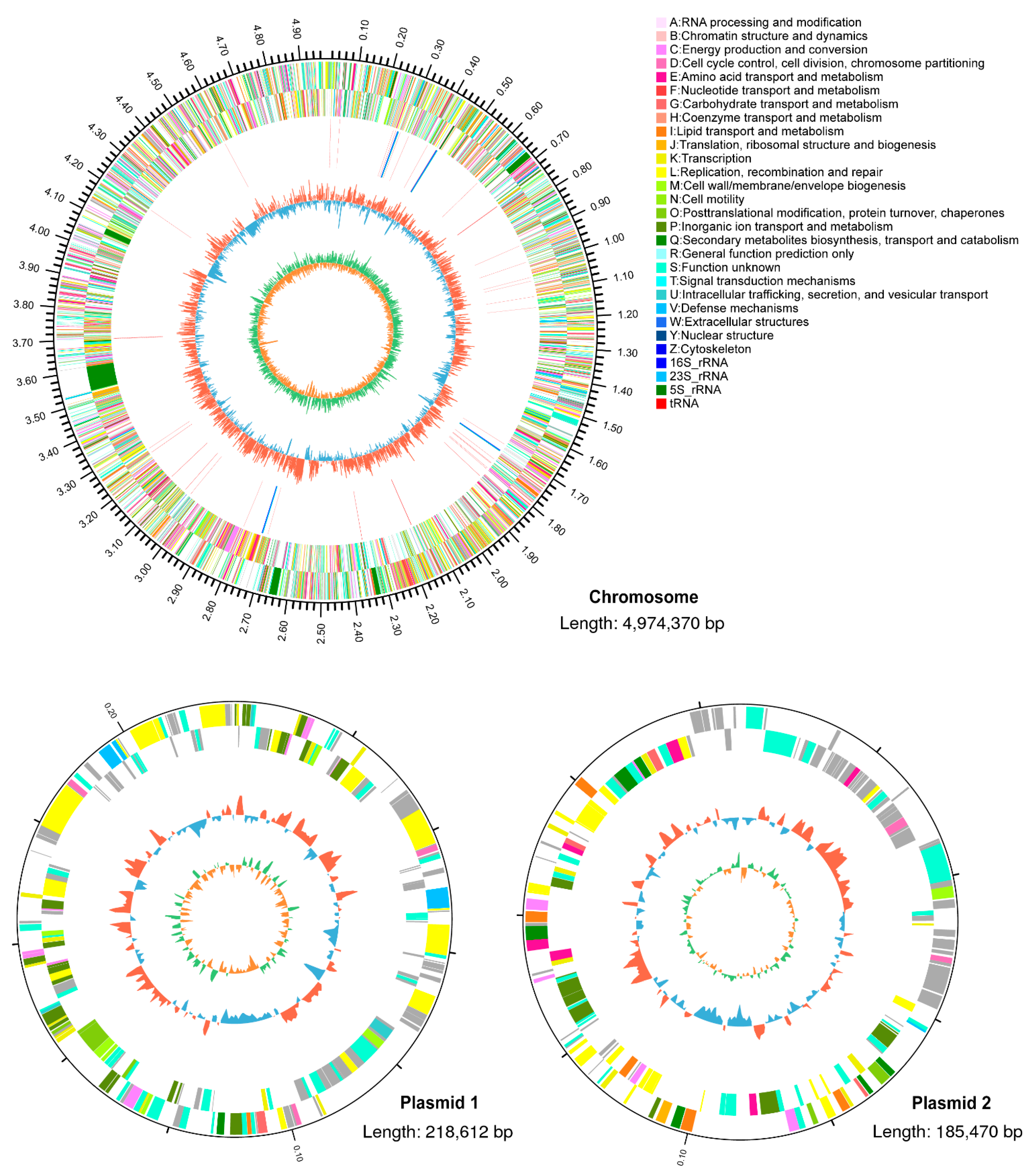 Biology 11 00774 g003