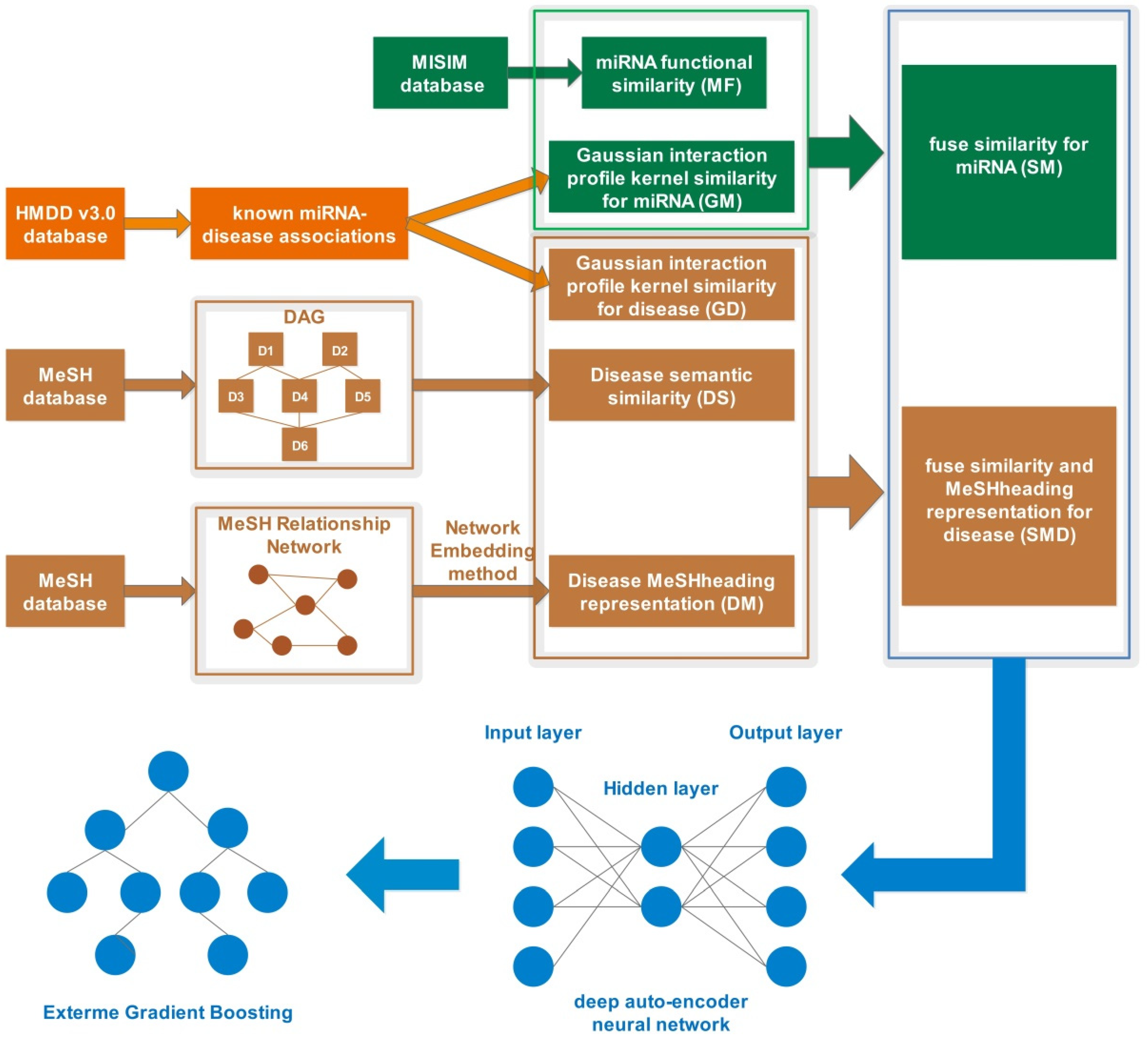 Biology 11 00777 g001 Biology 11 00777 g001