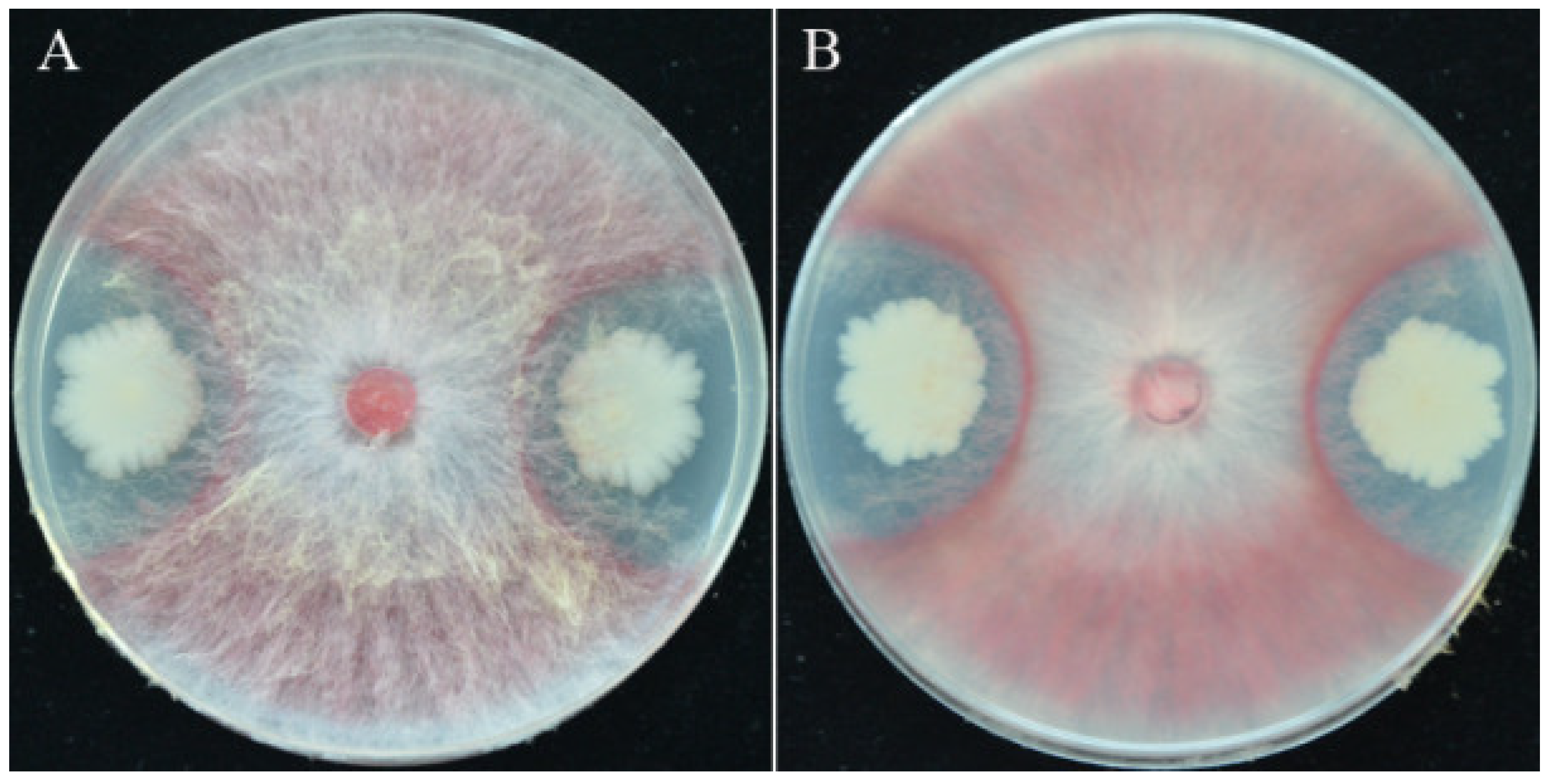 Biology 11 00778 g001 550