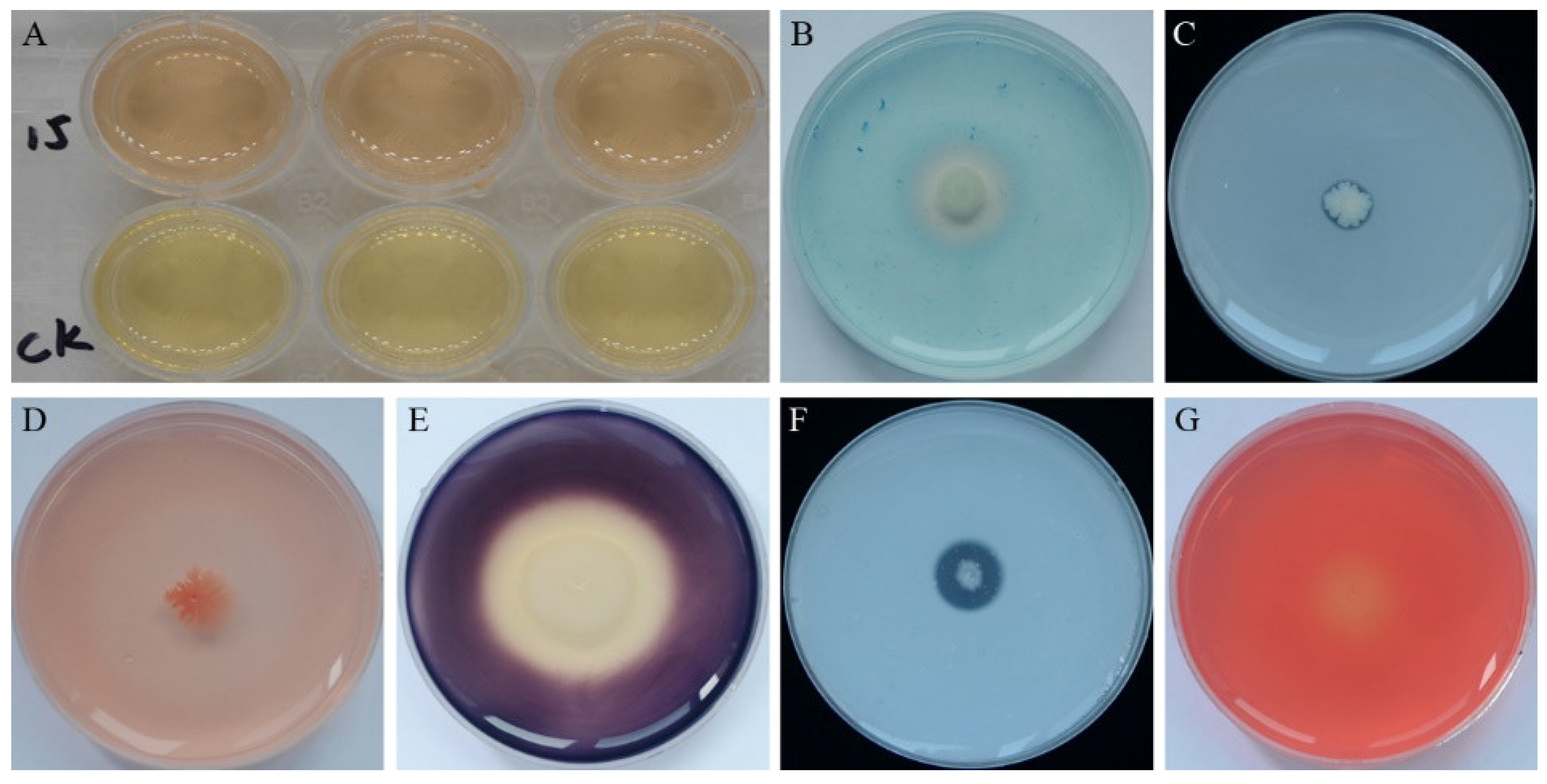 Biology 11 00778 g002 550