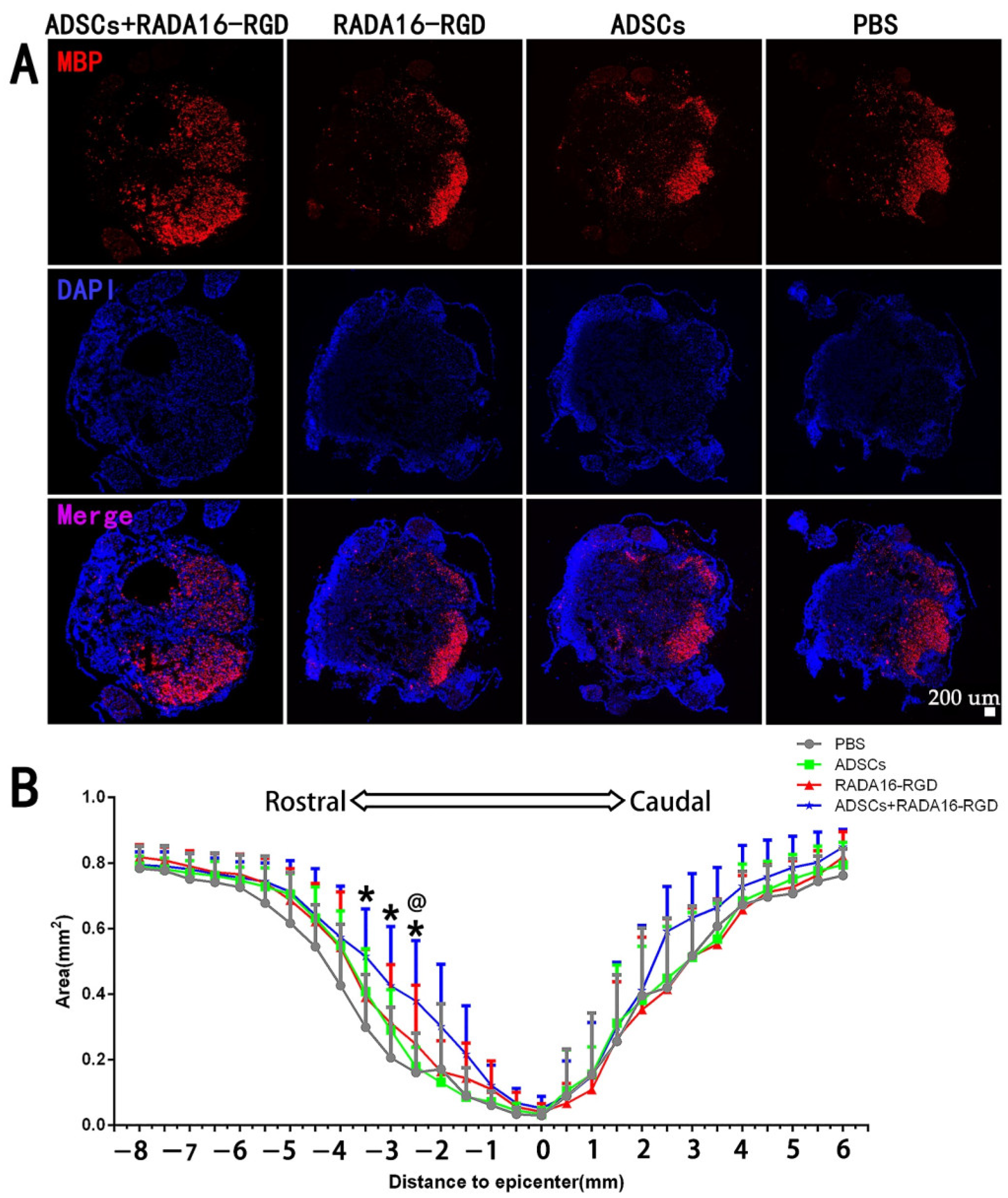 Biology 11 00781 g005