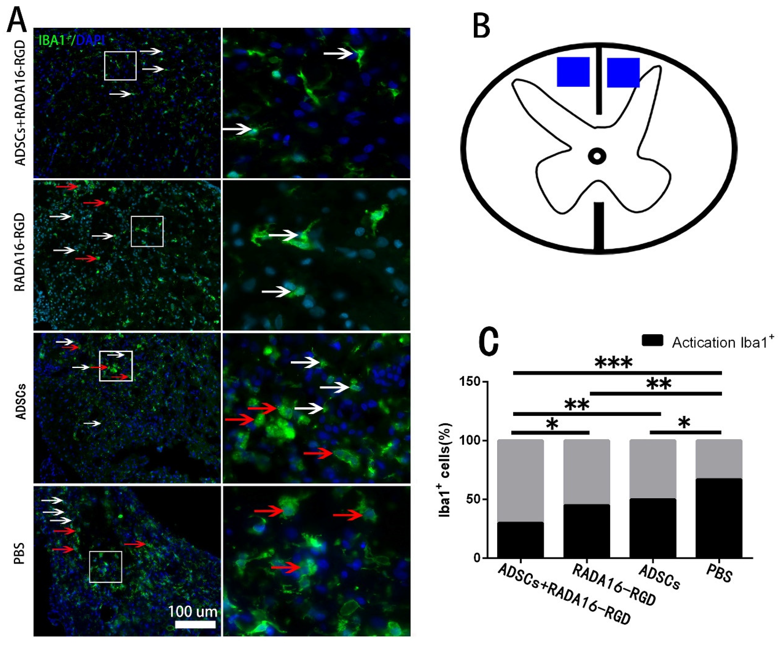 Biology 11 00781 g008