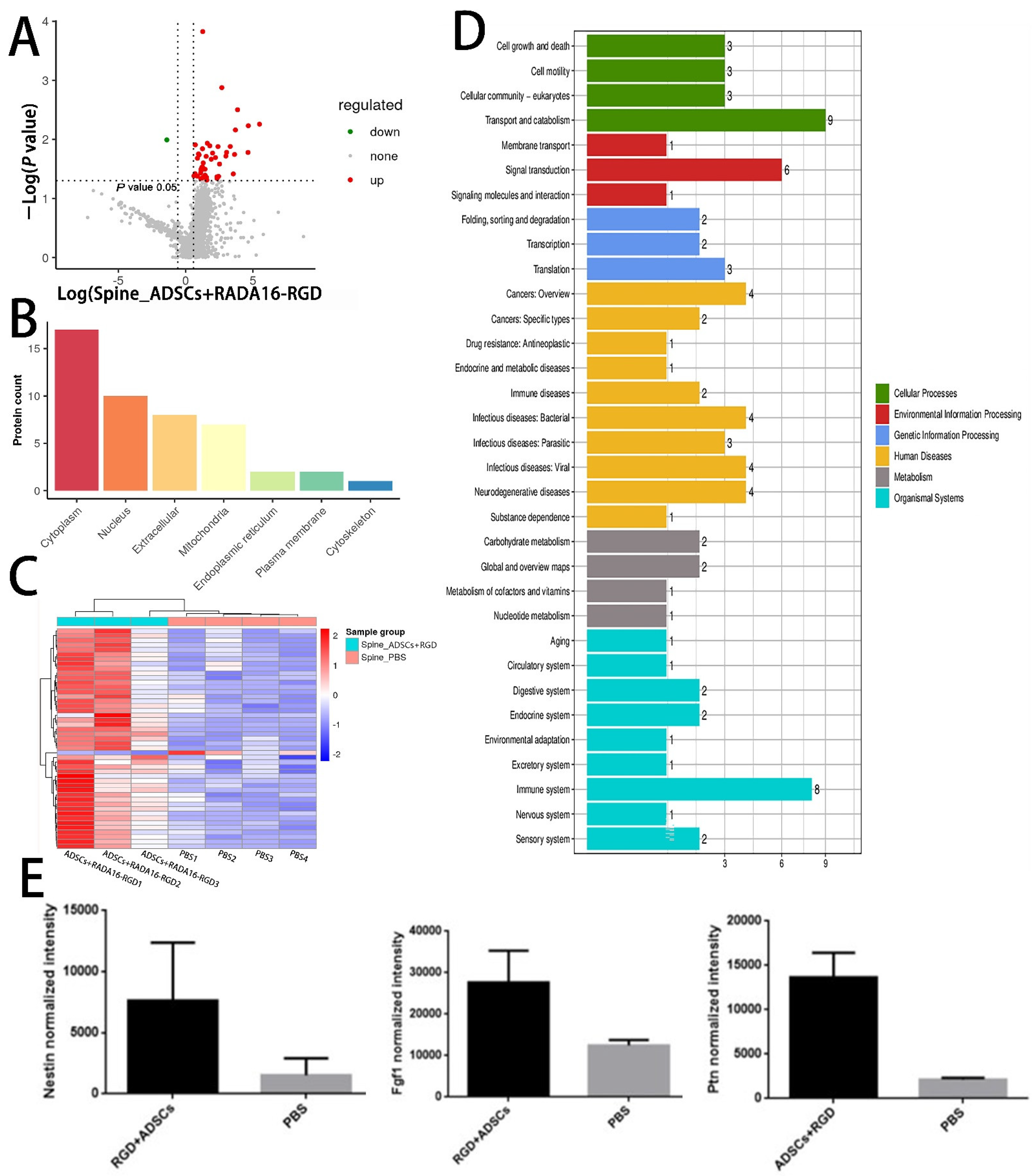 Biology 11 00781 g010