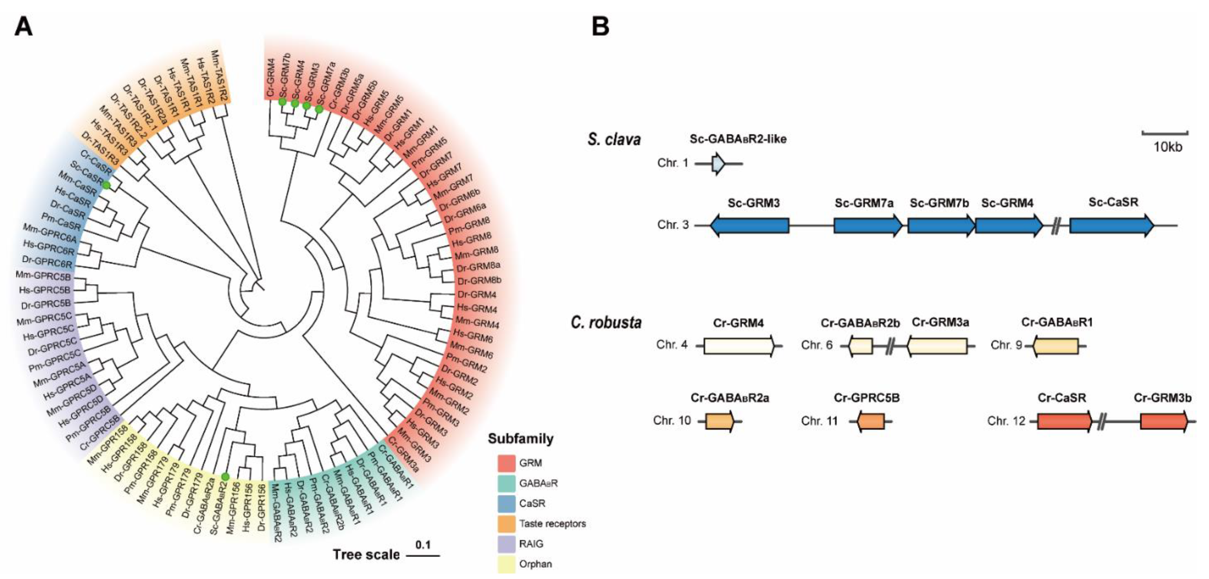 Biology 11 00782 g002
