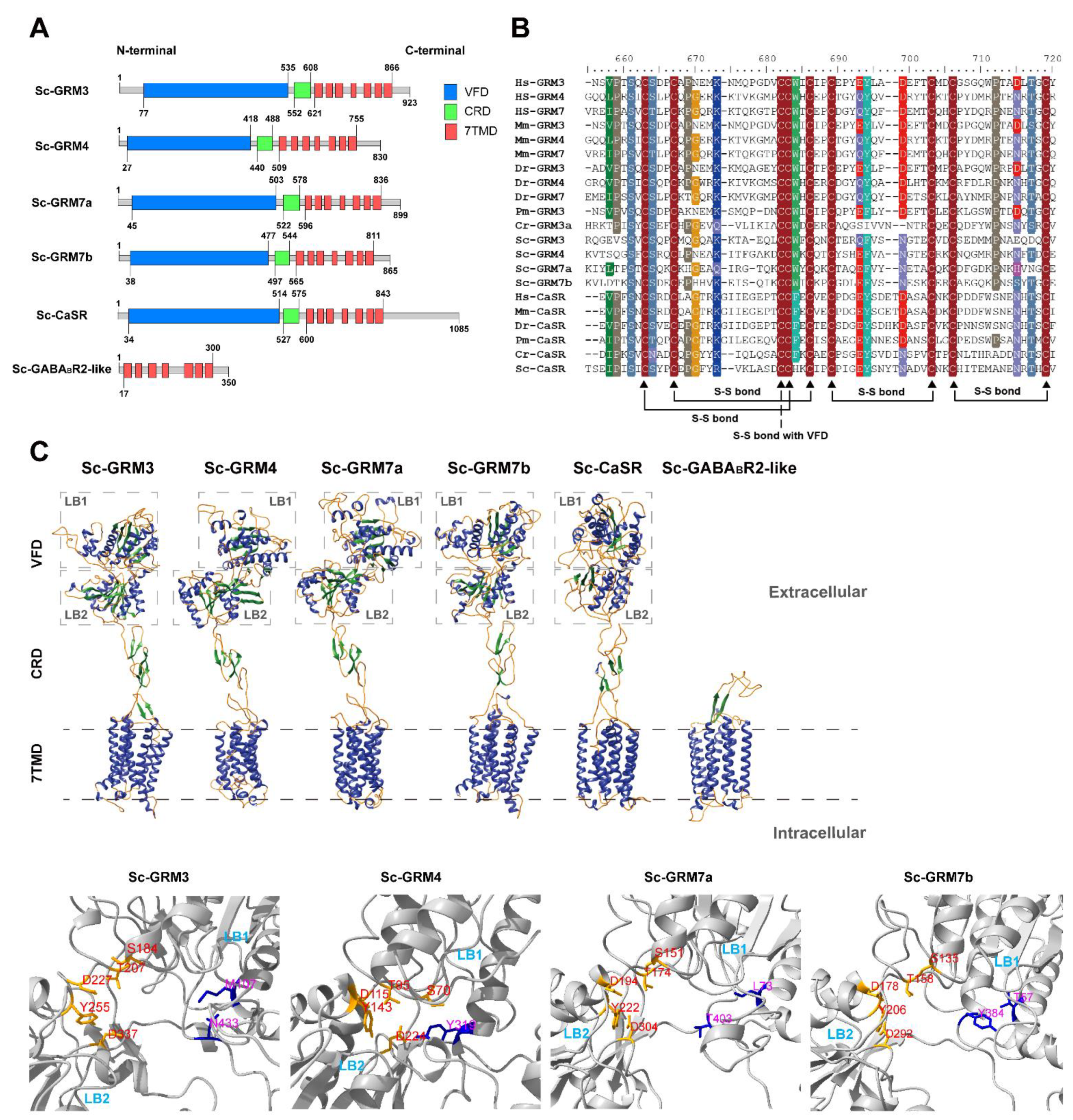 Biology 11 00782 g003