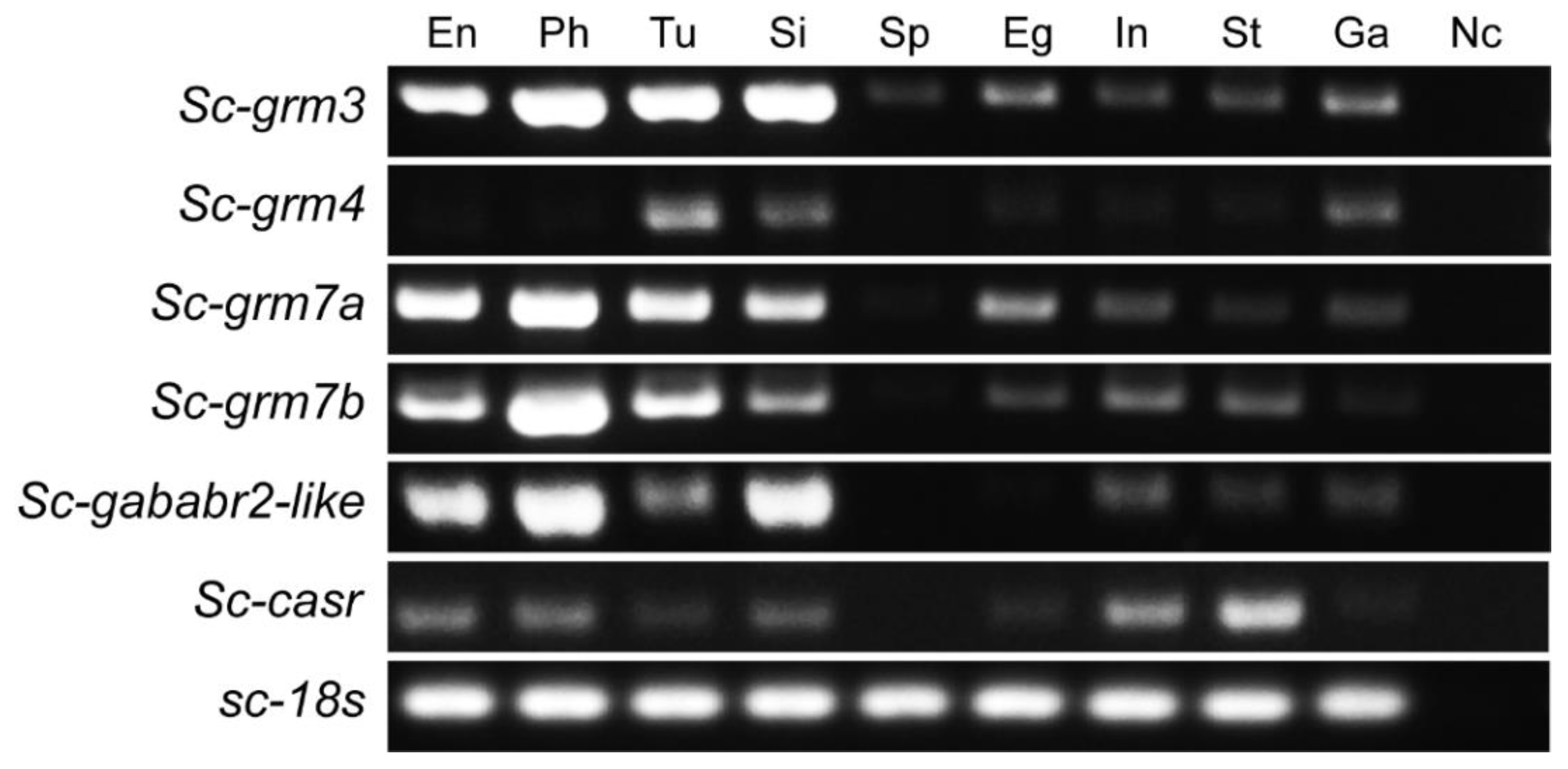 Biology 11 00782 g006