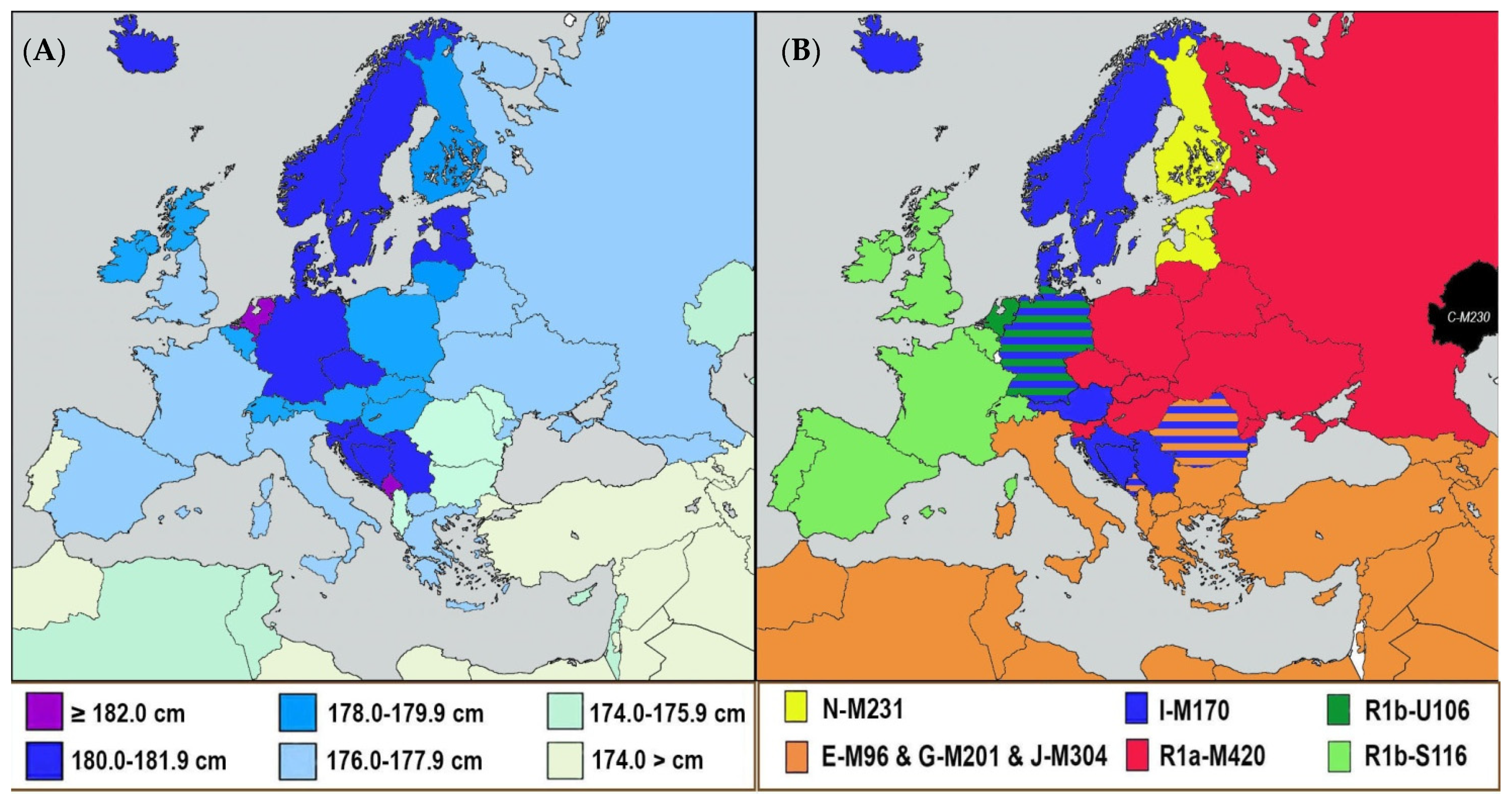 Biology 11 00786 g005 550