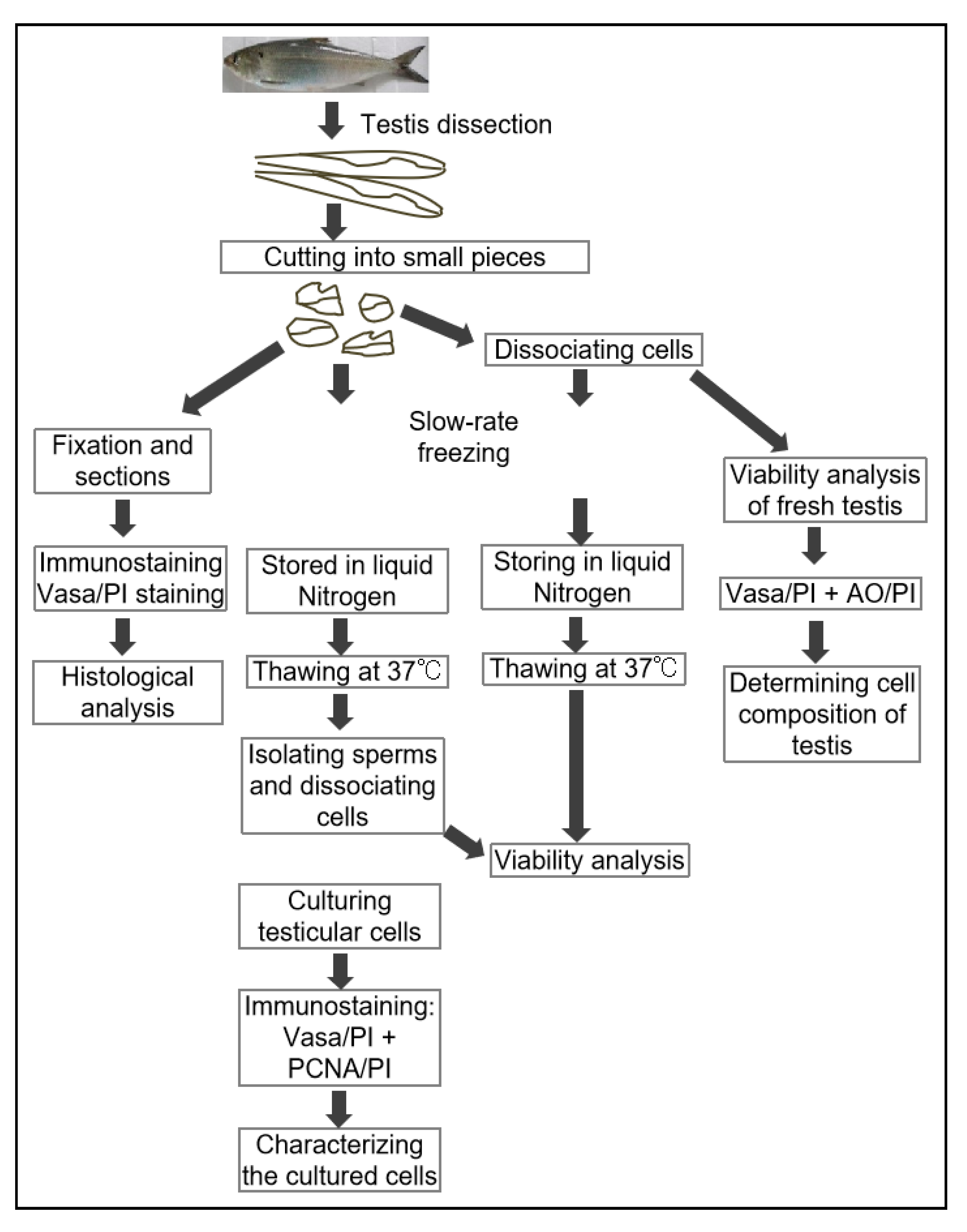 Biology 11 00790 g001
