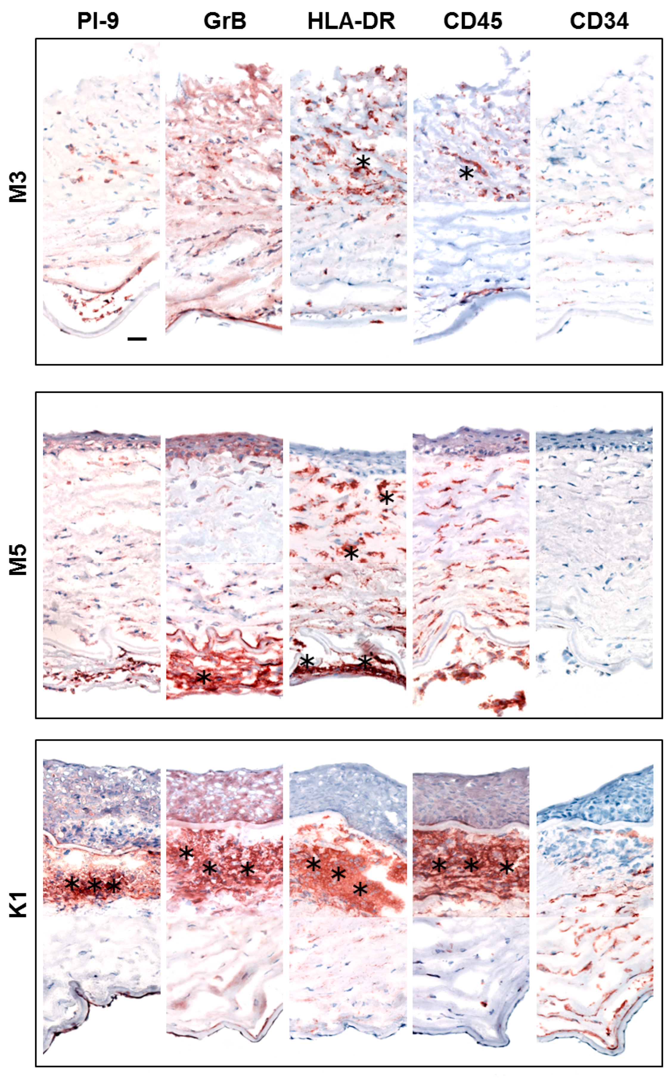 Biology 11 00793 g003