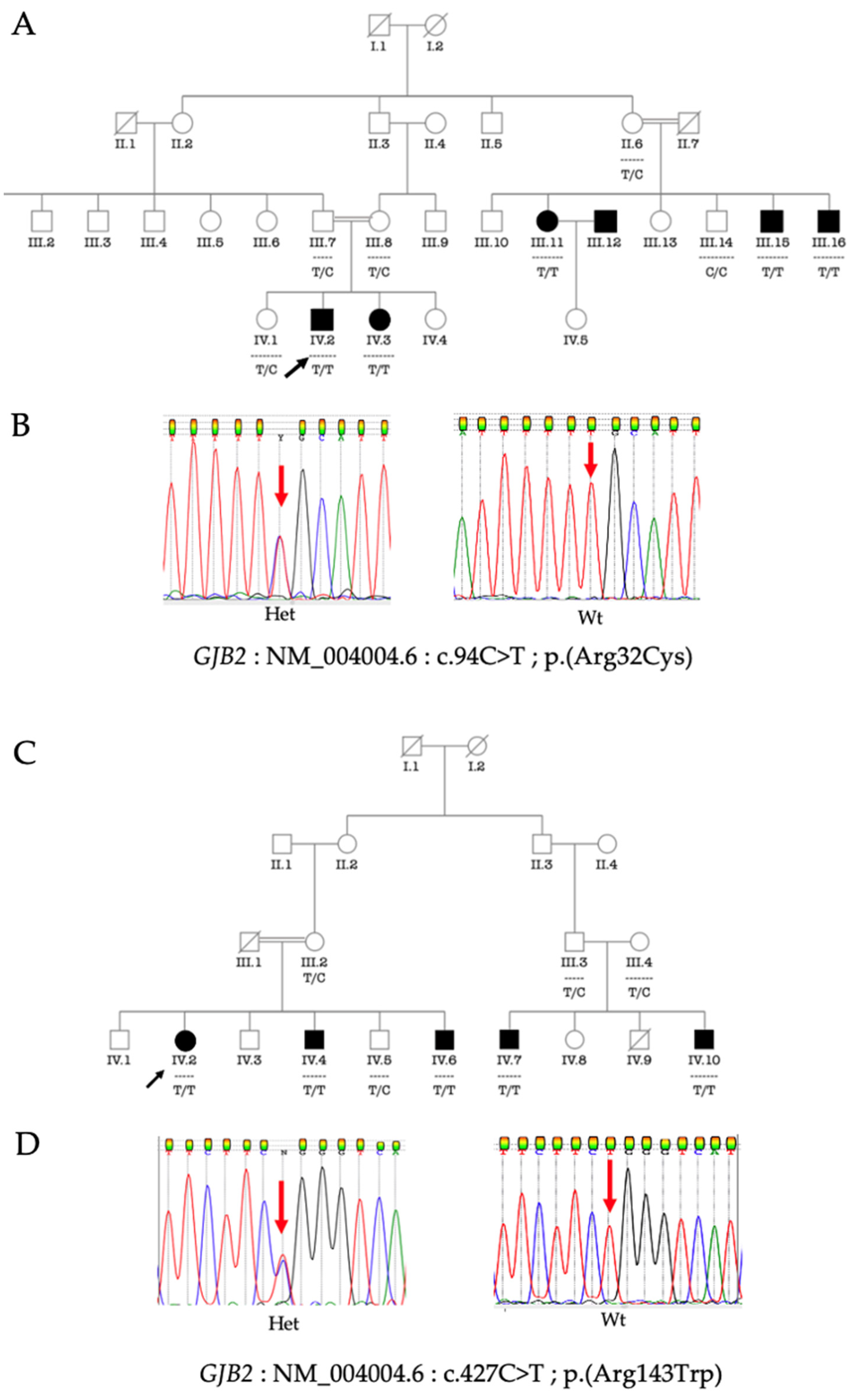 Biology 11 00795 g001