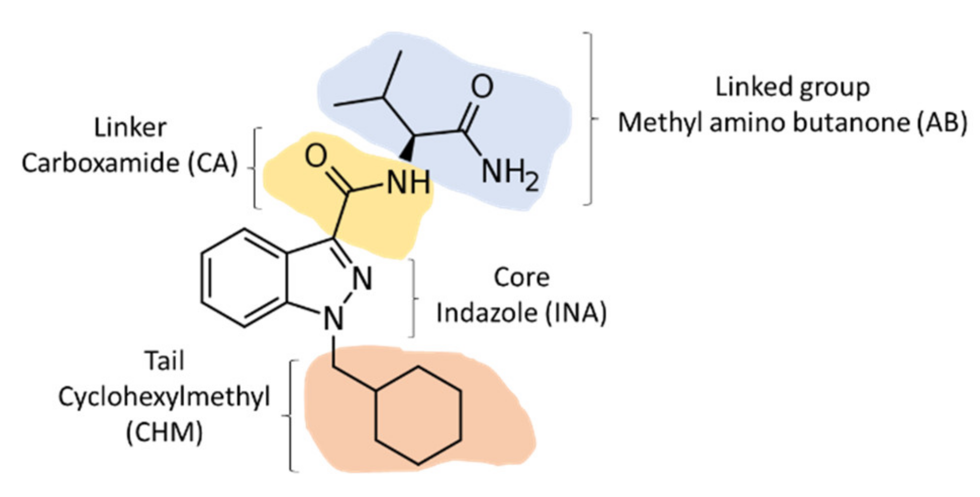 Biology 11 00796 g001