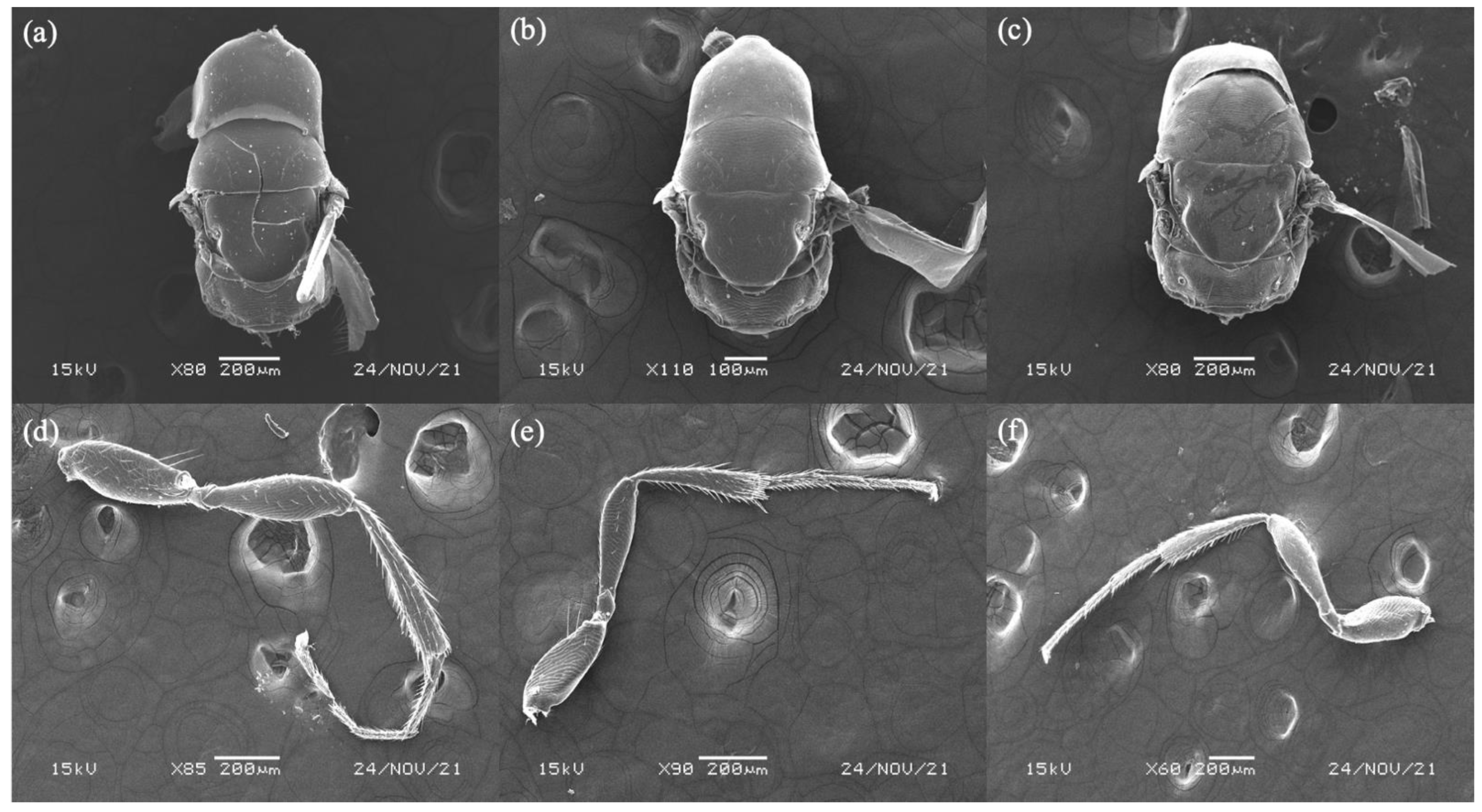 Biology 11 00801 g003 550