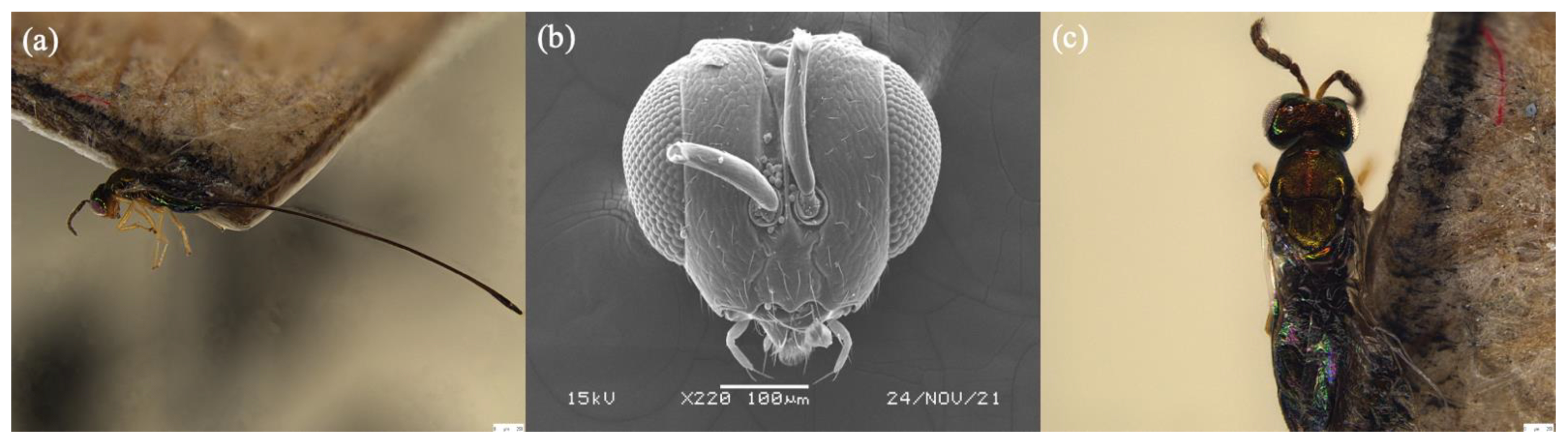 Biology 11 00801 g004 550