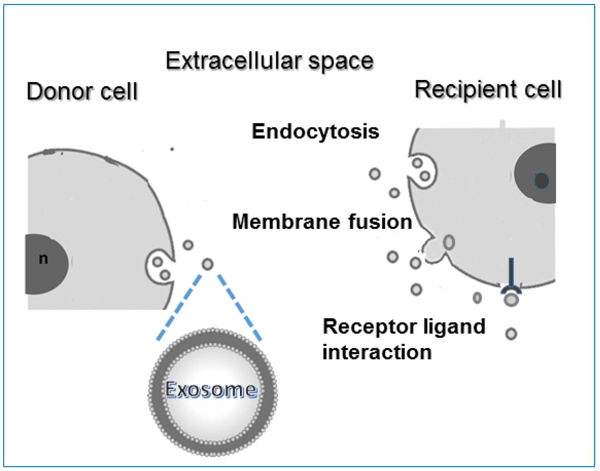 Biology 11 00804 g003 Biology 11 00804 g003