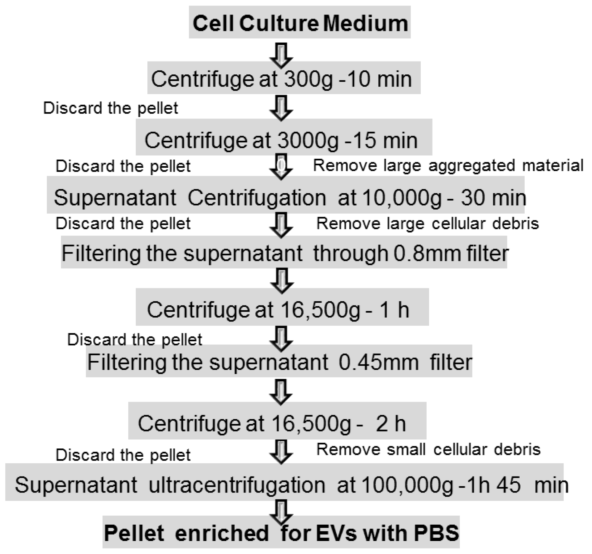 Biology 11 00804 g004 Biology 11 00804 g004