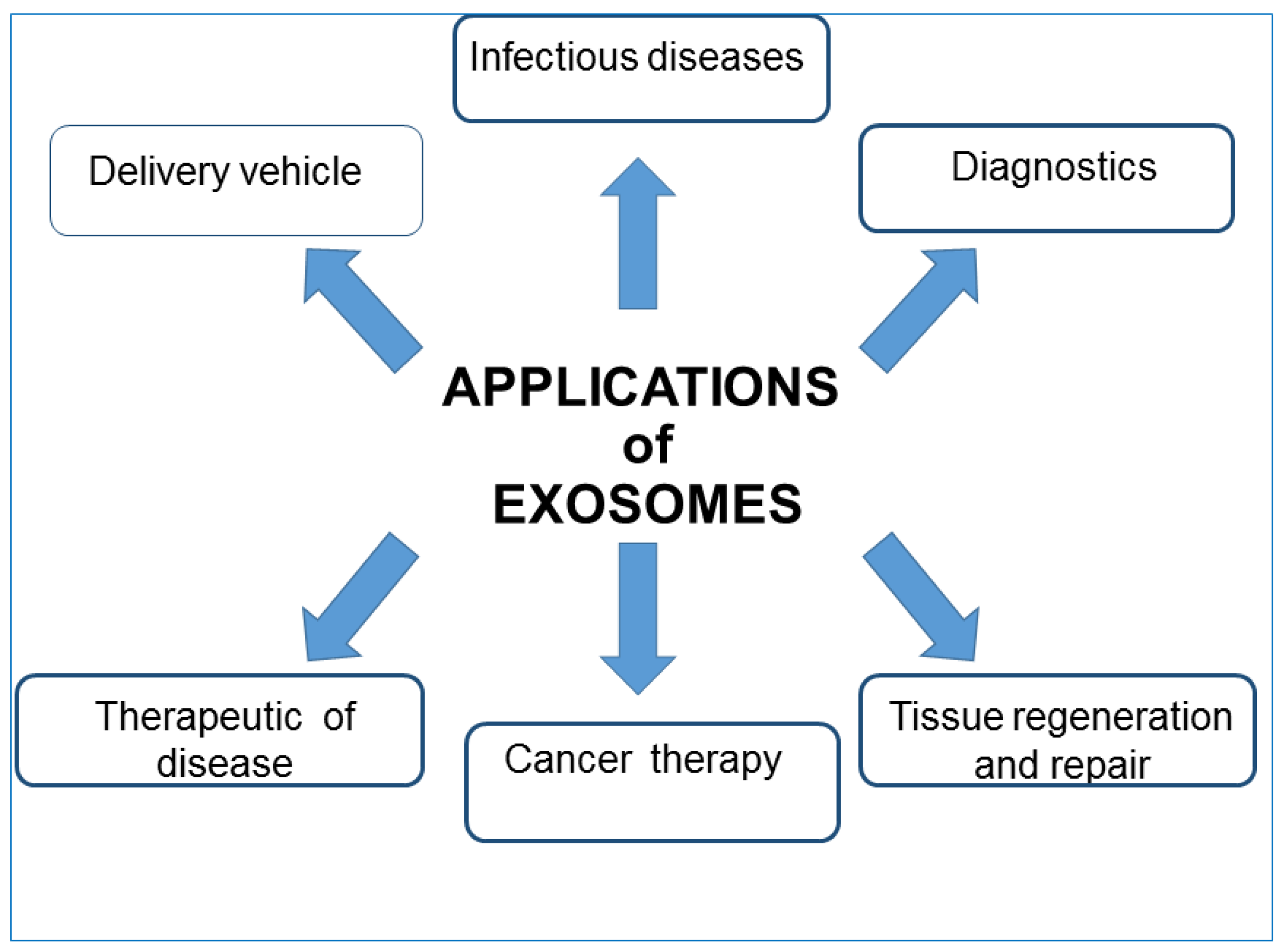 Biology 11 00804 g005 Biology 11 00804 g005