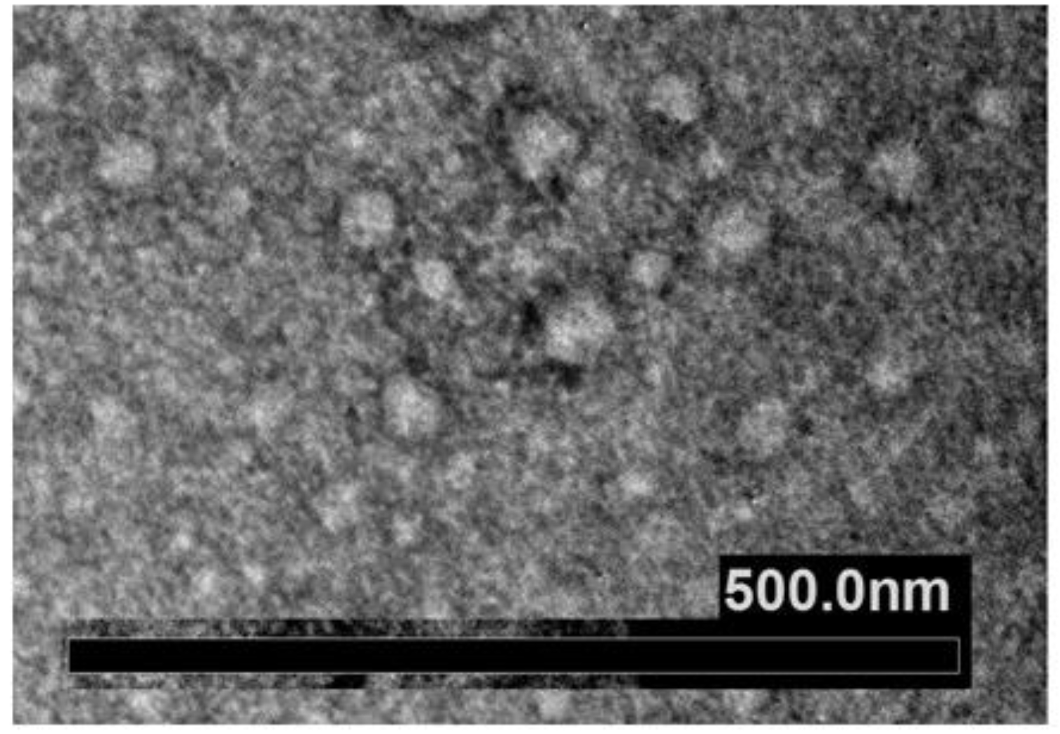 Biology 11 00804 g009 Biology 11 00804 g009