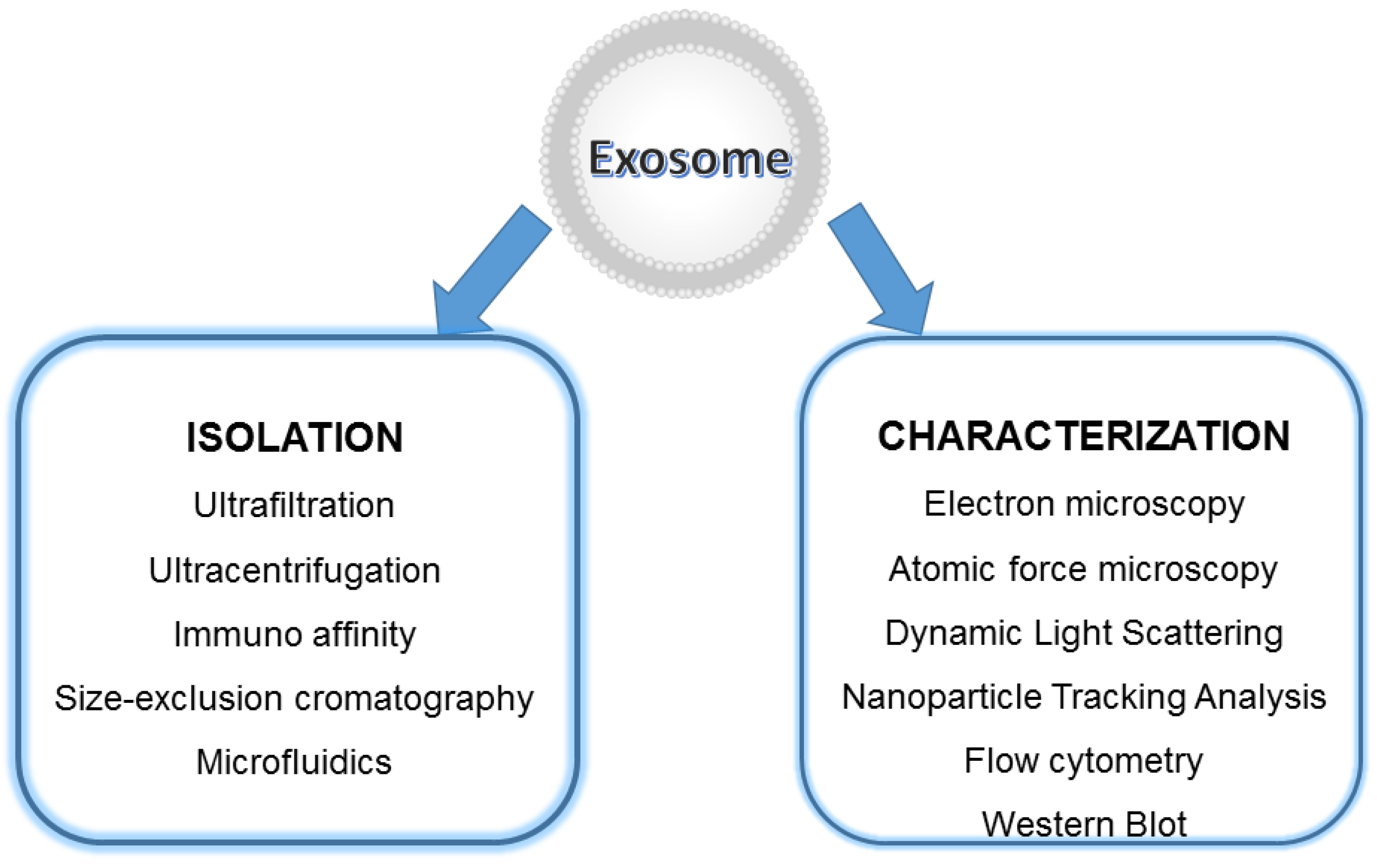 Biology 11 00804 g010 Biology 11 00804 g010