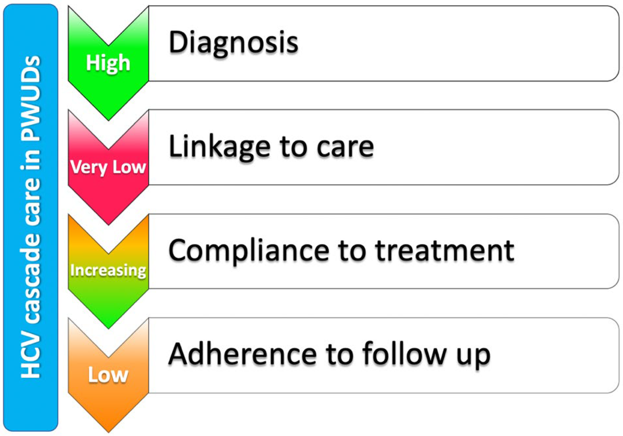 Biology 11 00805 g001
