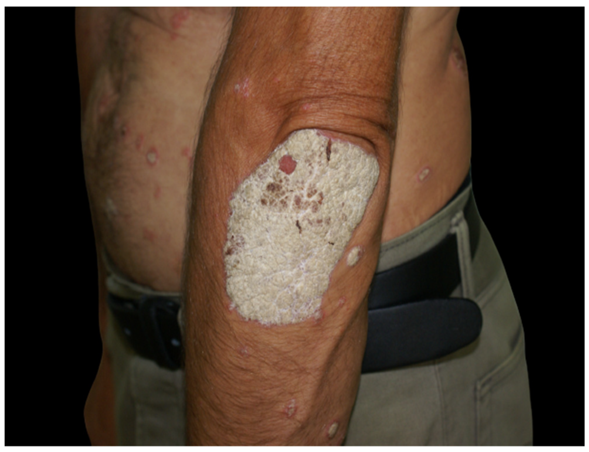 Biology 11 00808 g001 550