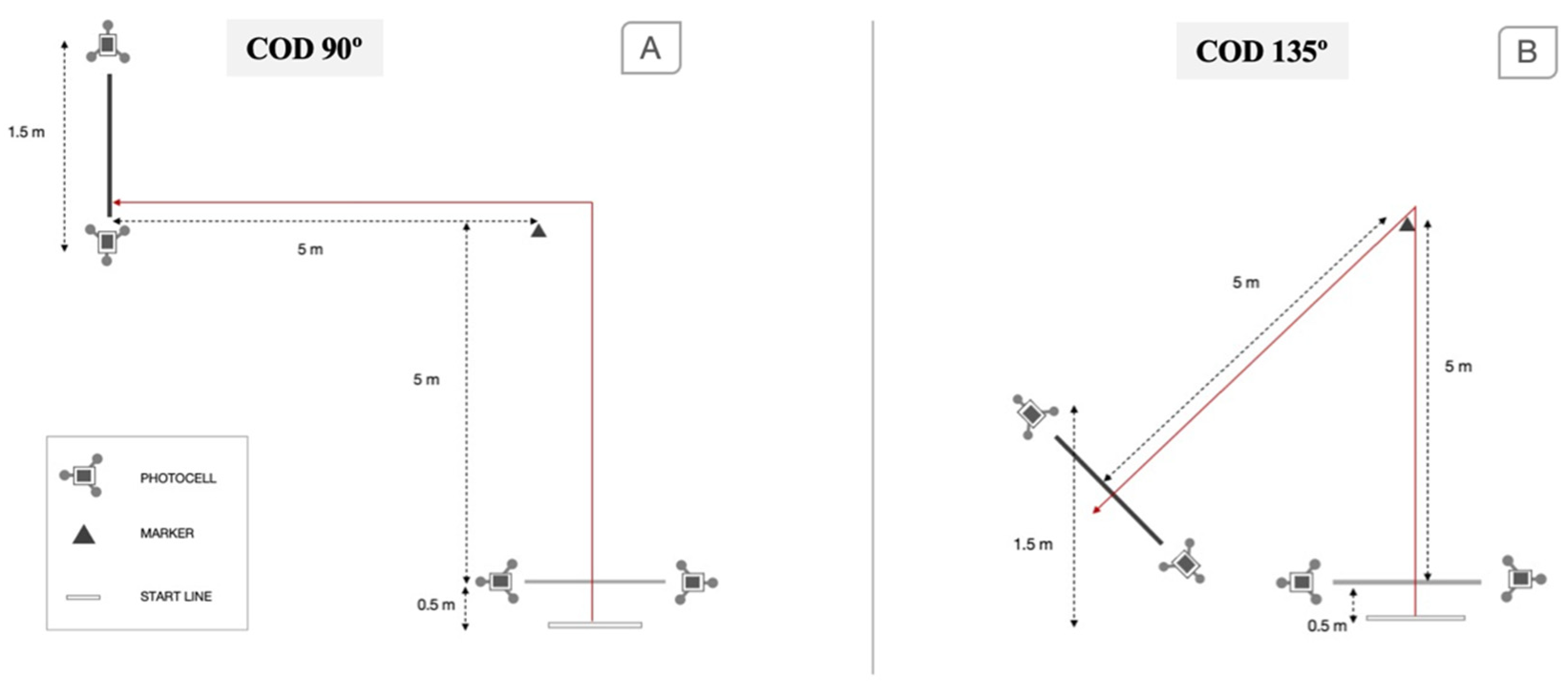 Biology 11 00812 g001
