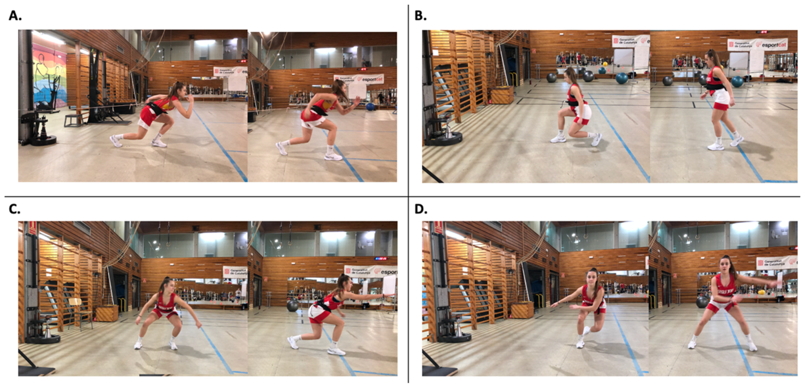 Biology 11 00812 g002