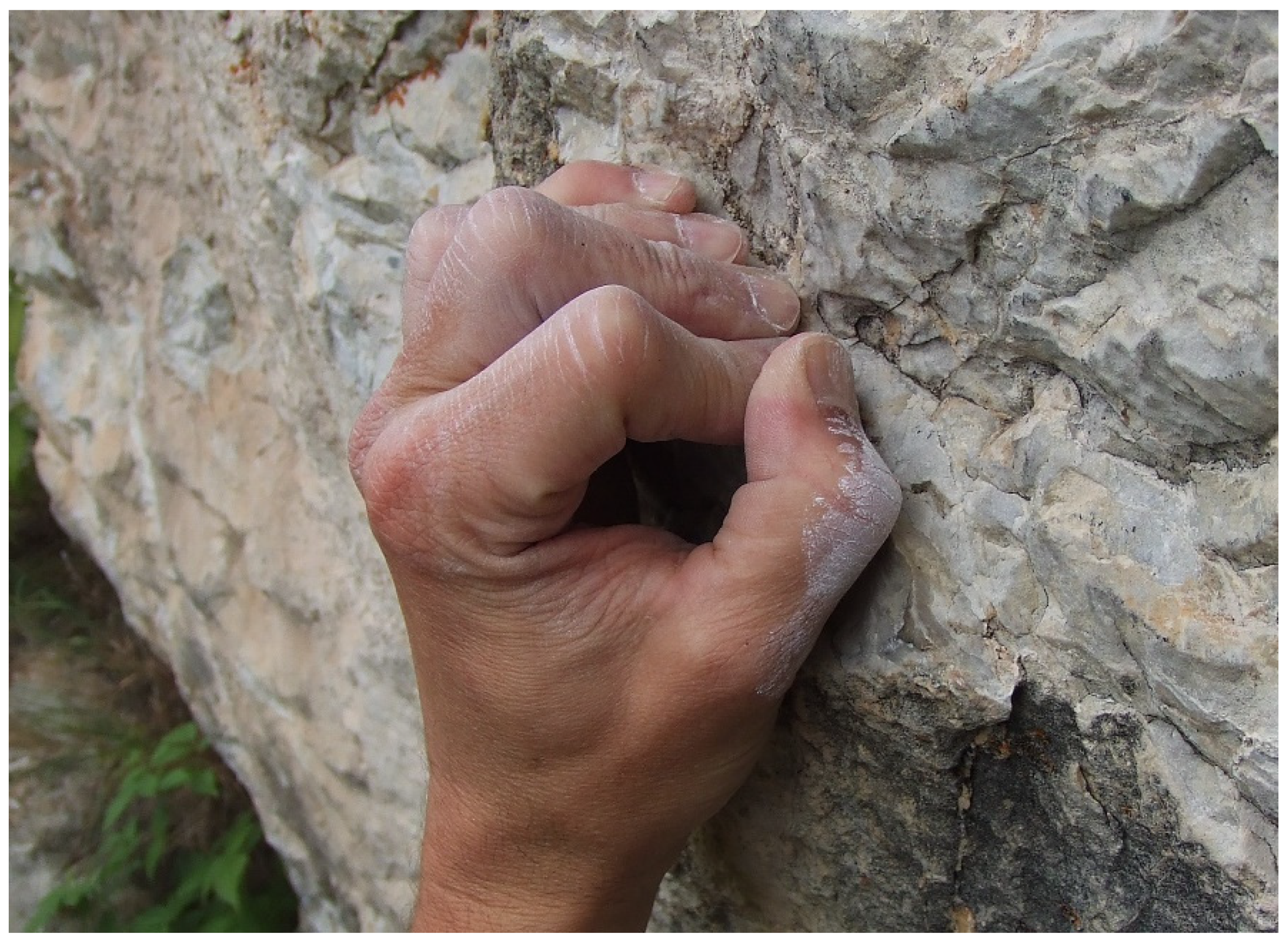 Biology 11 00815 g002 550