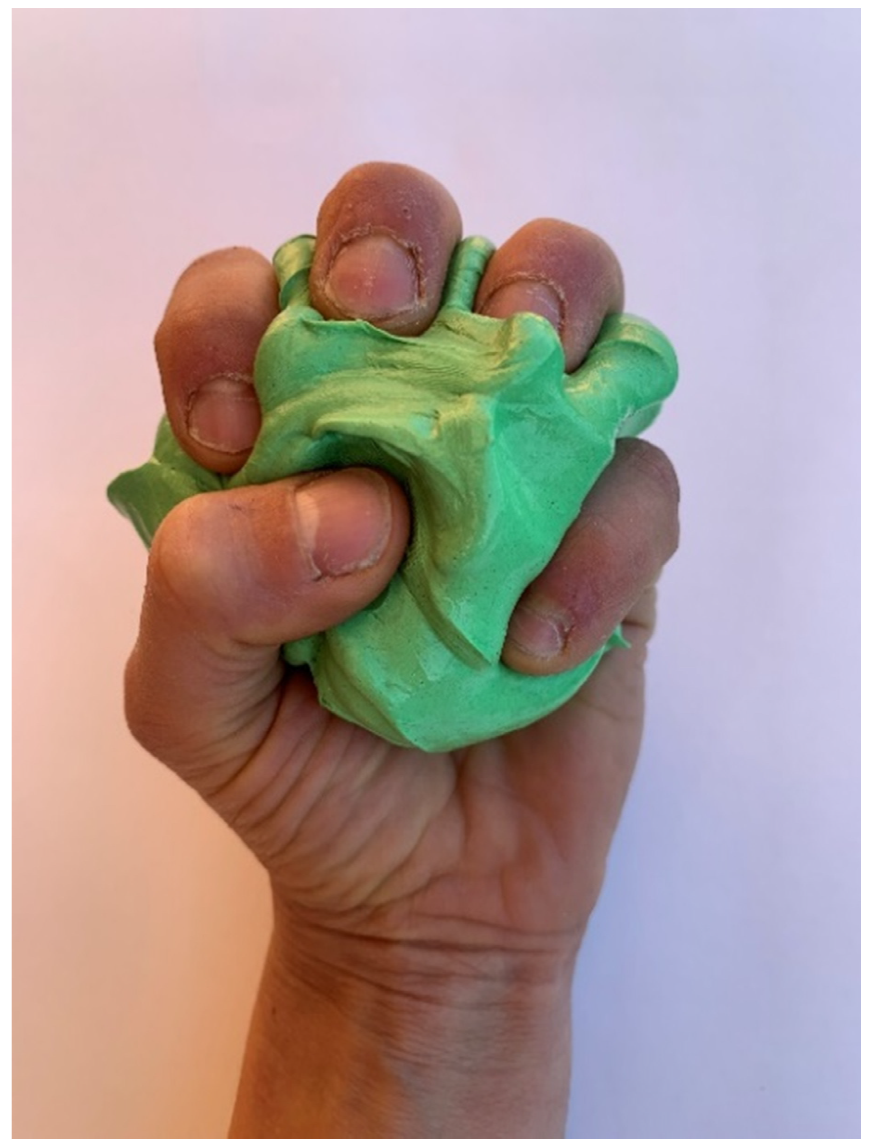 Biology 11 00815 g003 550