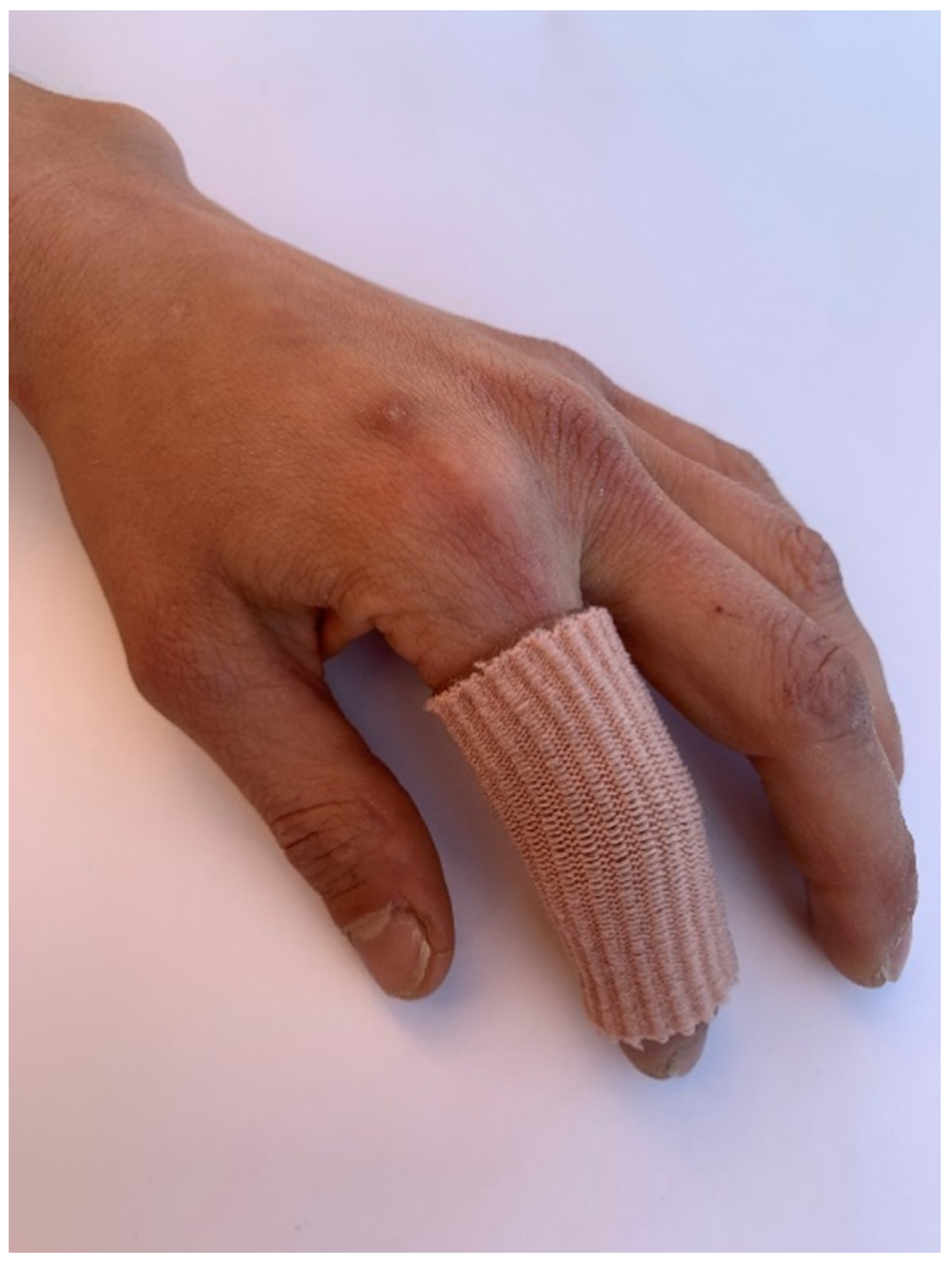 Biology 11 00815 g004 550