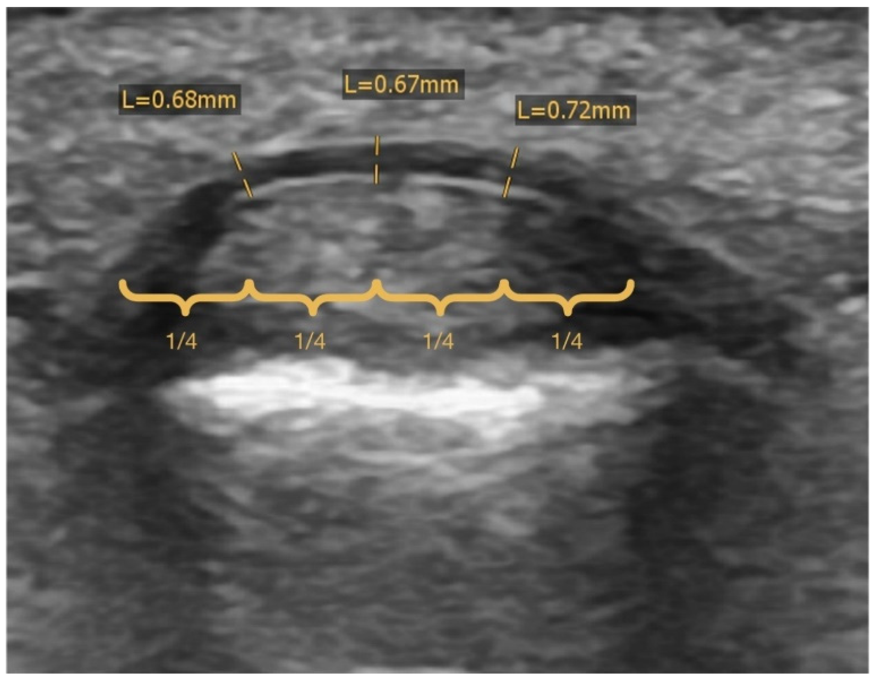 Biology 11 00815 g005 550