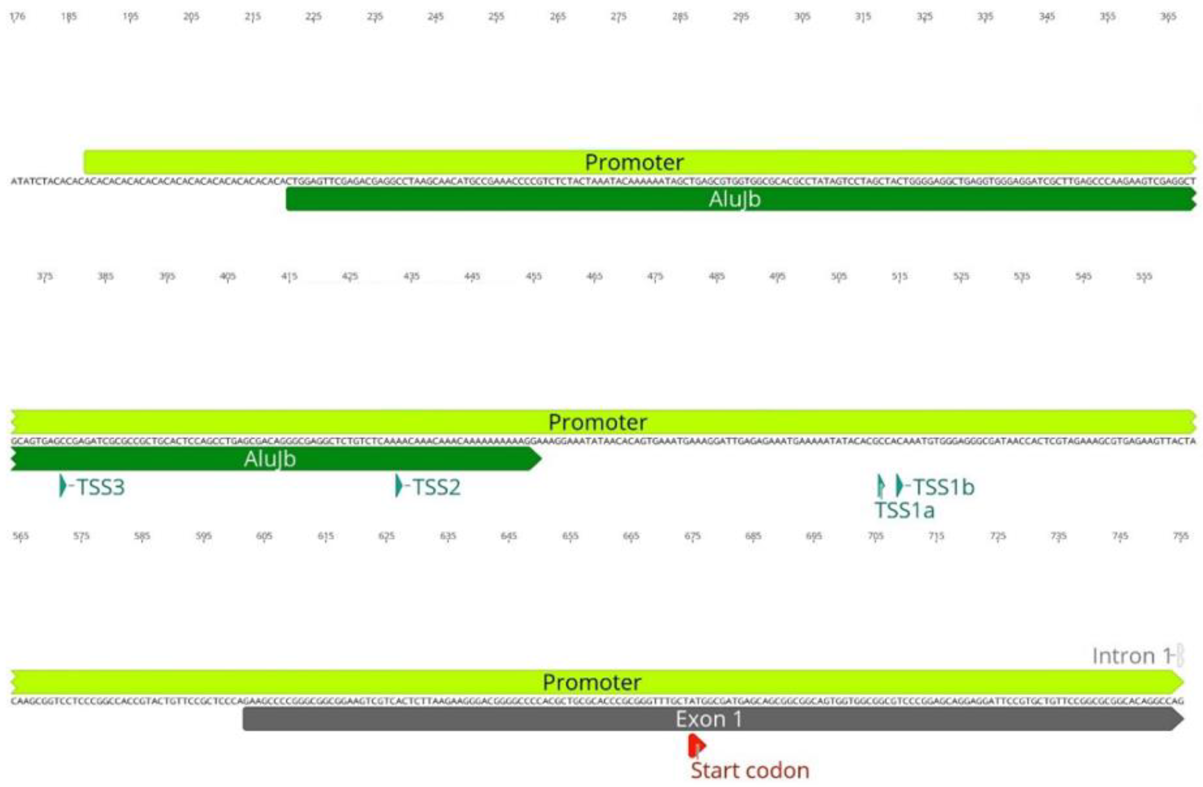 Biology 11 00824 g001 Biology 11 00824 g001