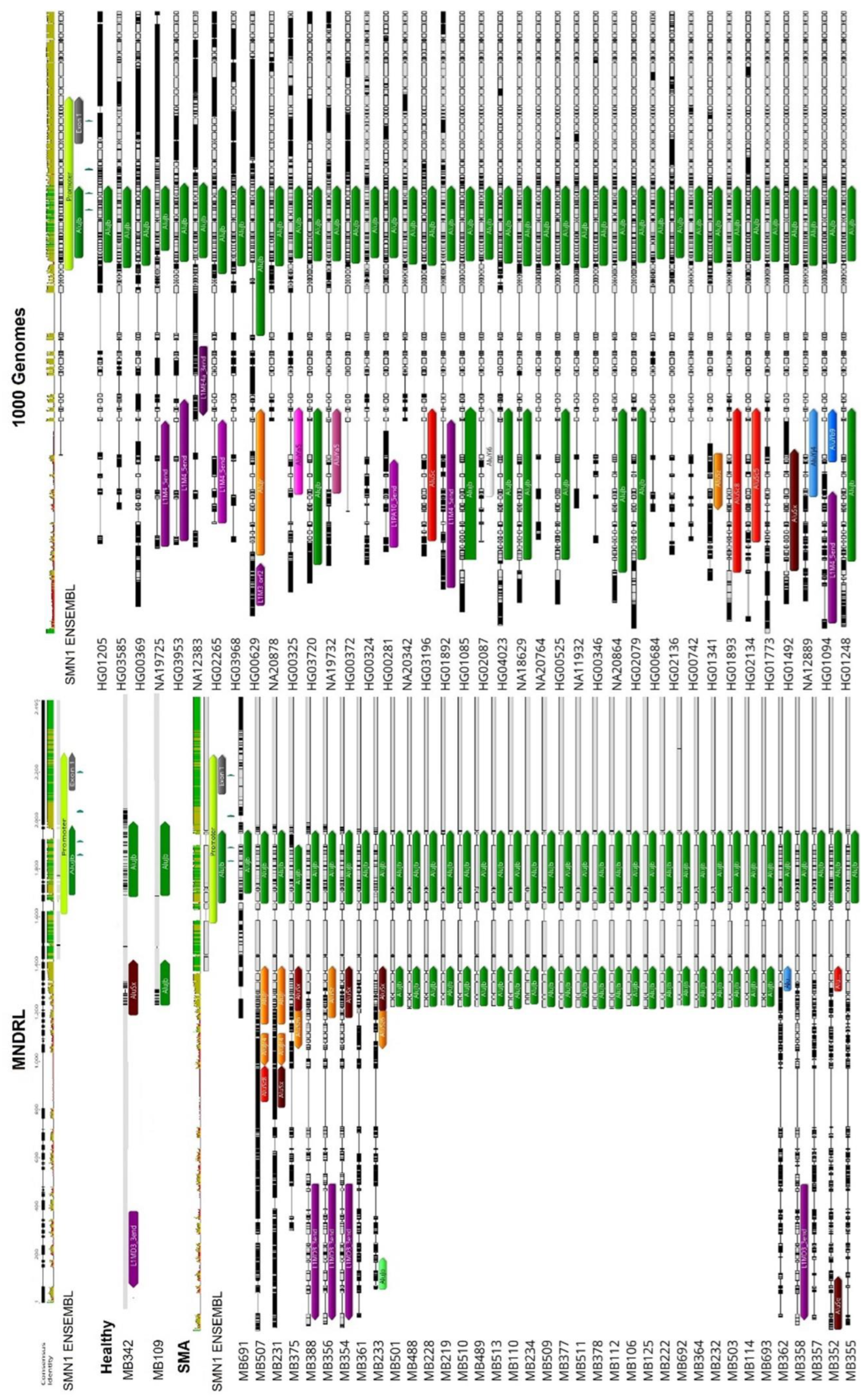 Biology 11 00824 g002 Biology 11 00824 g002