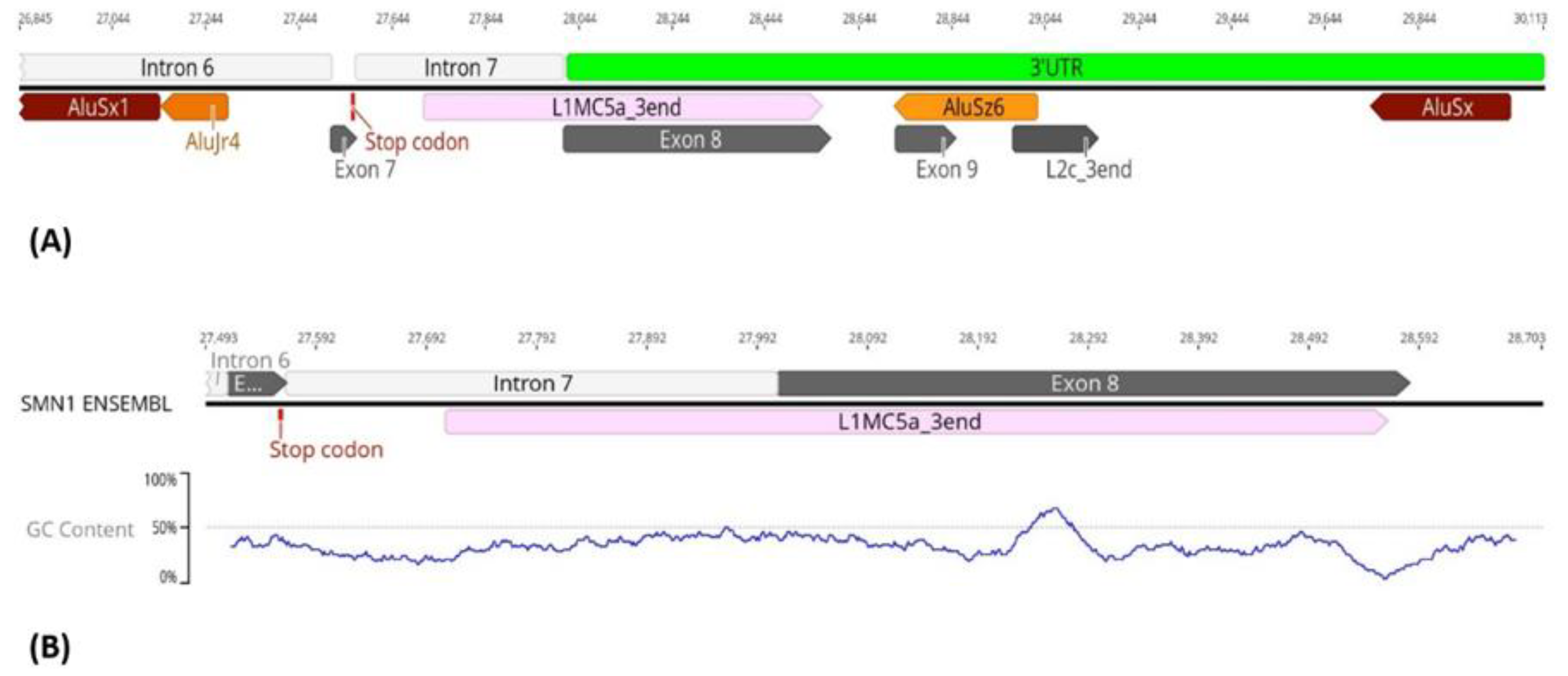 Biology 11 00824 g003 Biology 11 00824 g003